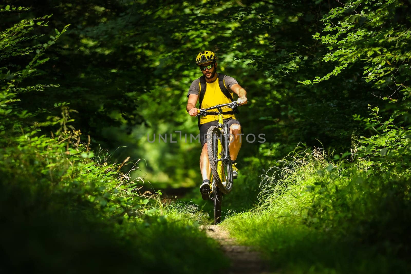 mountain biker on yellow bike in the woods