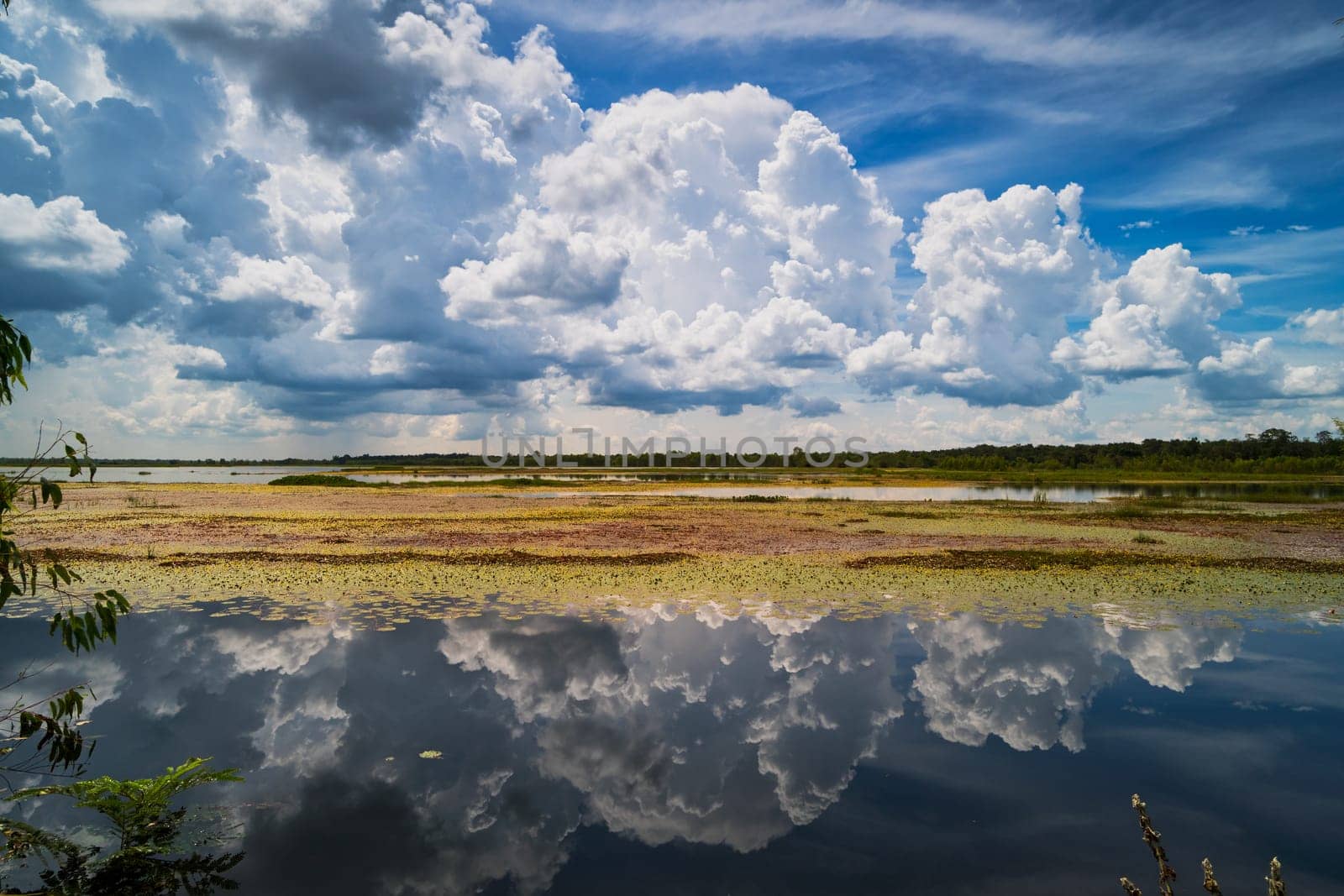 Landscape with standing water and cumulus clouds