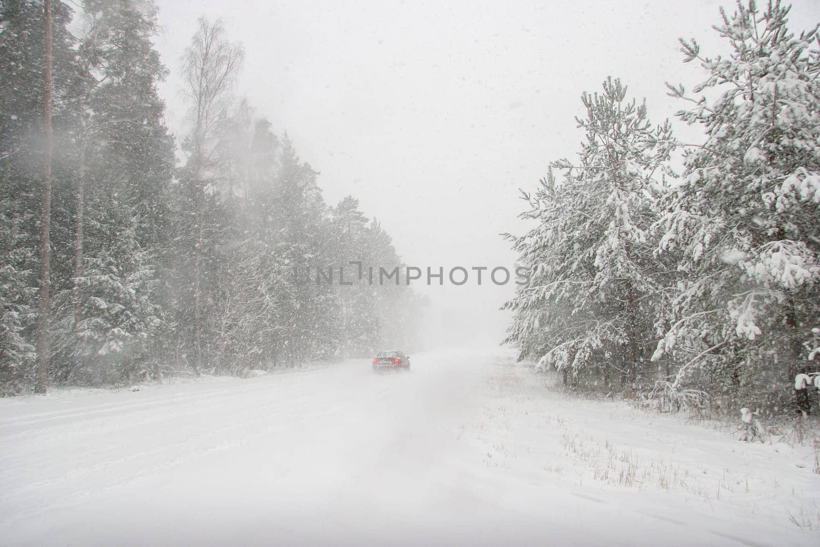Beautiful landscape of the forest on a cold winter day with trees covered with snow. Snowfall in the forest in Latvia. Country road covered with snow. Winter in forest. ..