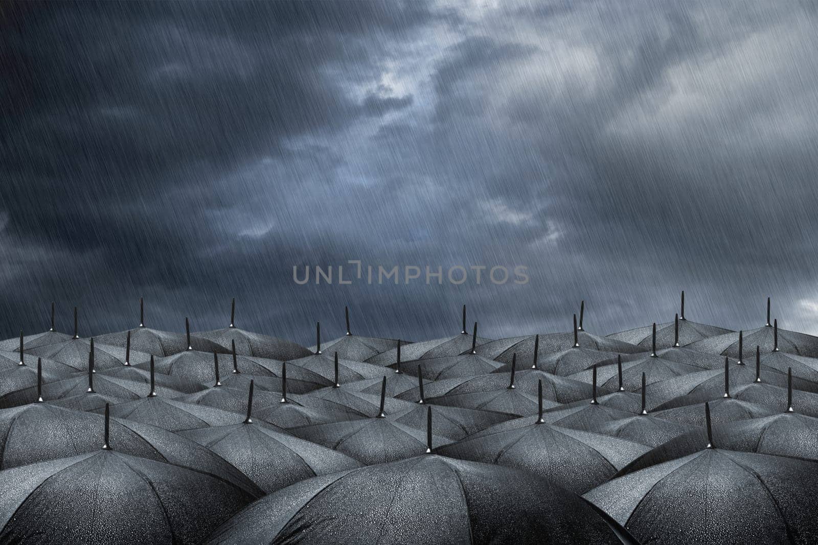 many black umbrellas in rainy weather