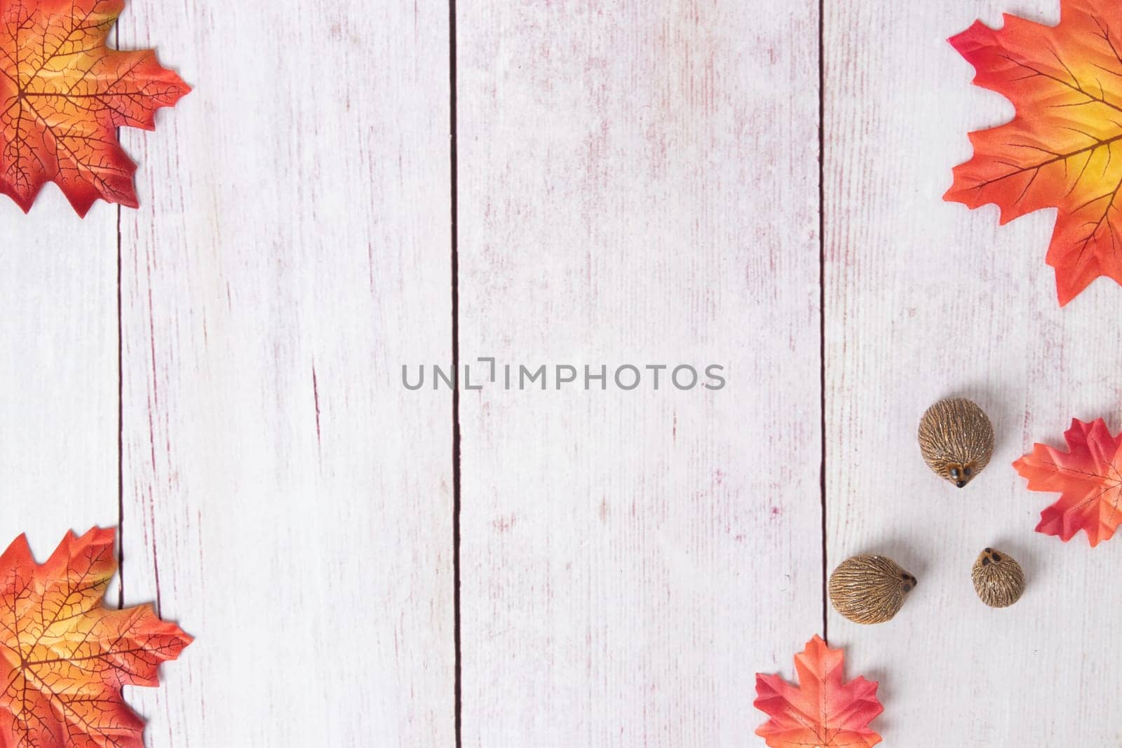 Frame of autumn. Top view on autumn frame of multi-colored autumn leaves and three hedgehogs on a wooden board with copy space.