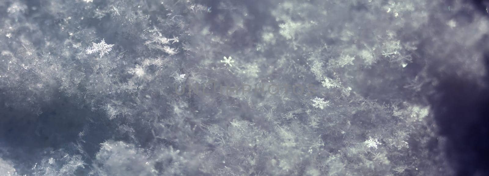 Winter background of shiny  snow