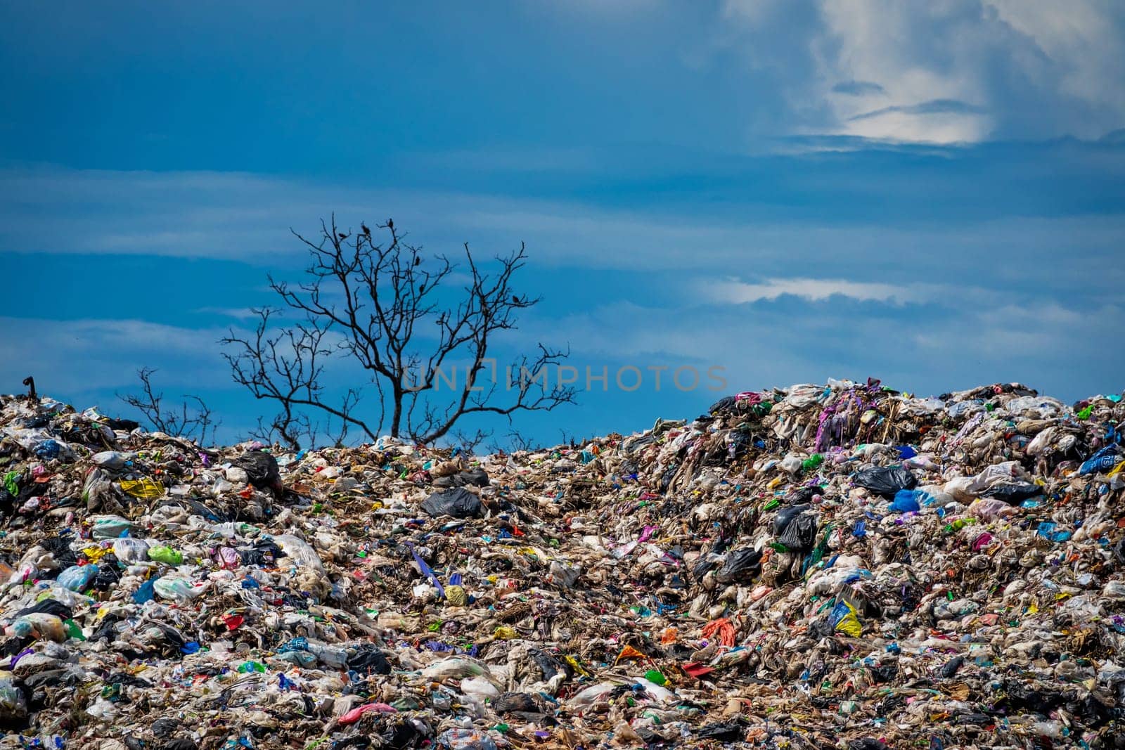 environmental damage of garbage in the nature