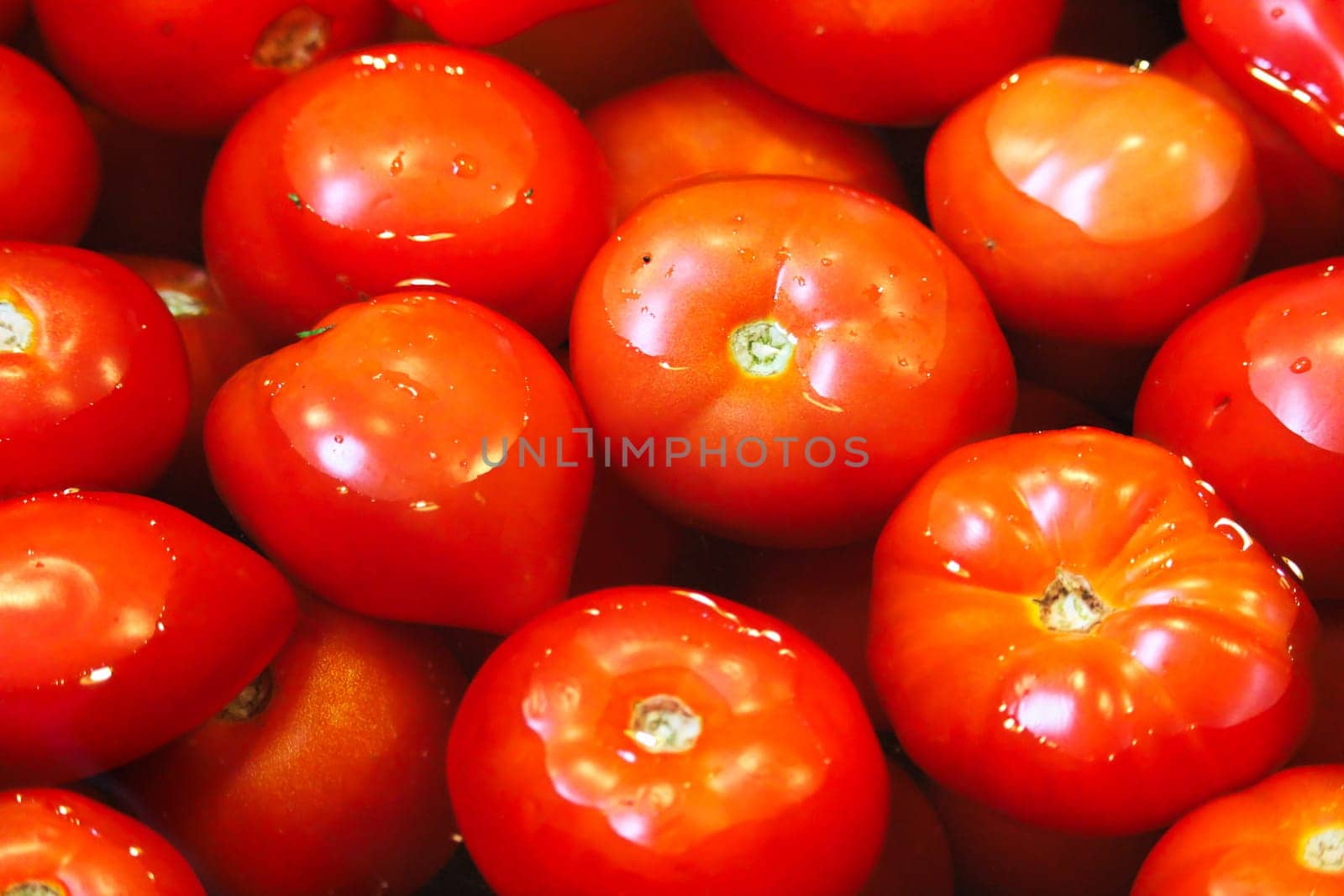 Closeup of various tomatoes being washed in water.