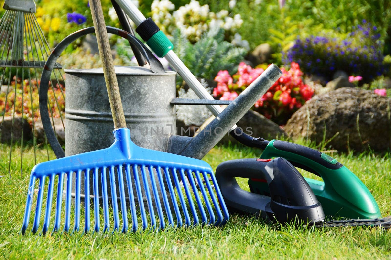 Watering can and tools in the garden