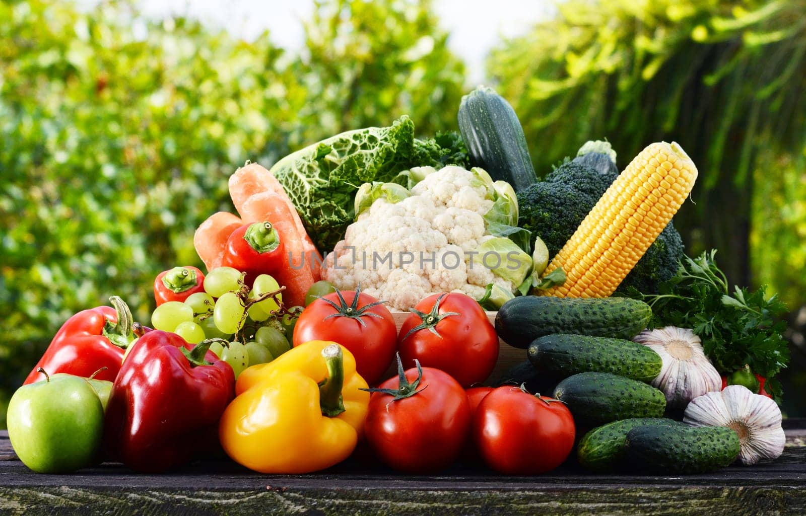 Assorted raw organic vegetables in the garden.