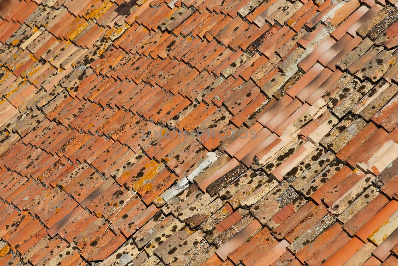 View of the rooftops of Arles France