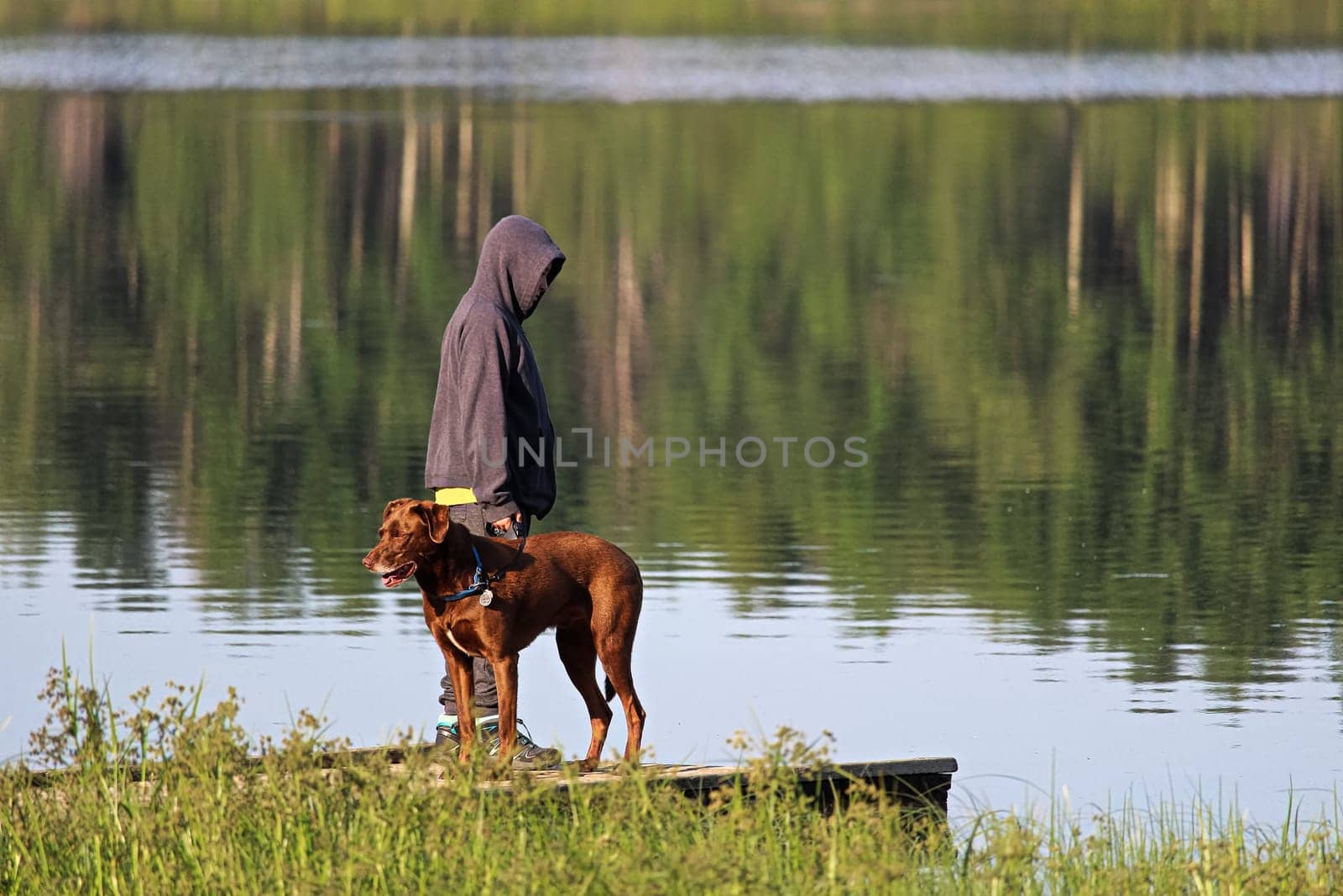 A young boy on a dock with his dog.
