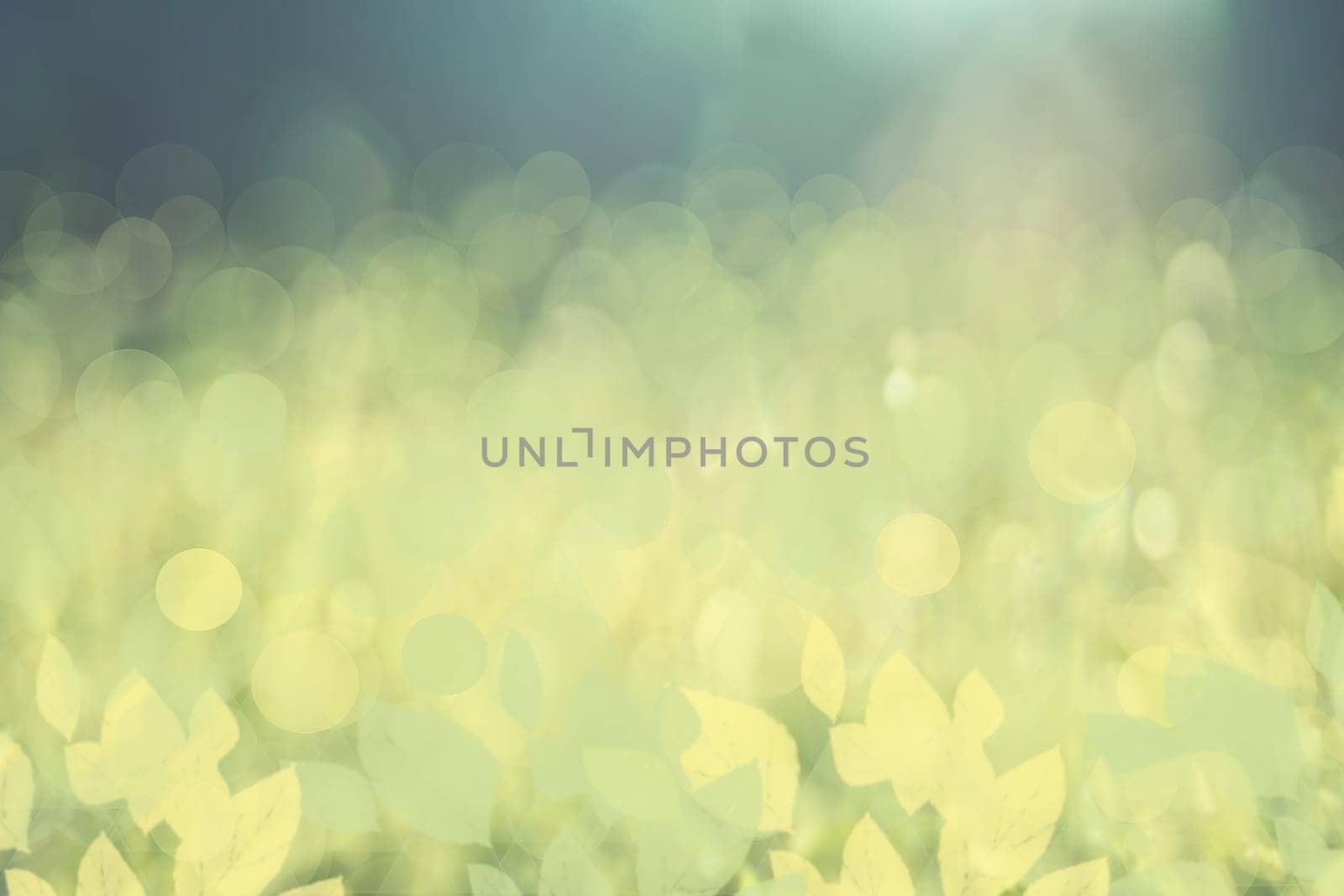 Abstract green lightening bokeh circles and leaves from underwater bubbles. Beautiful green texture.