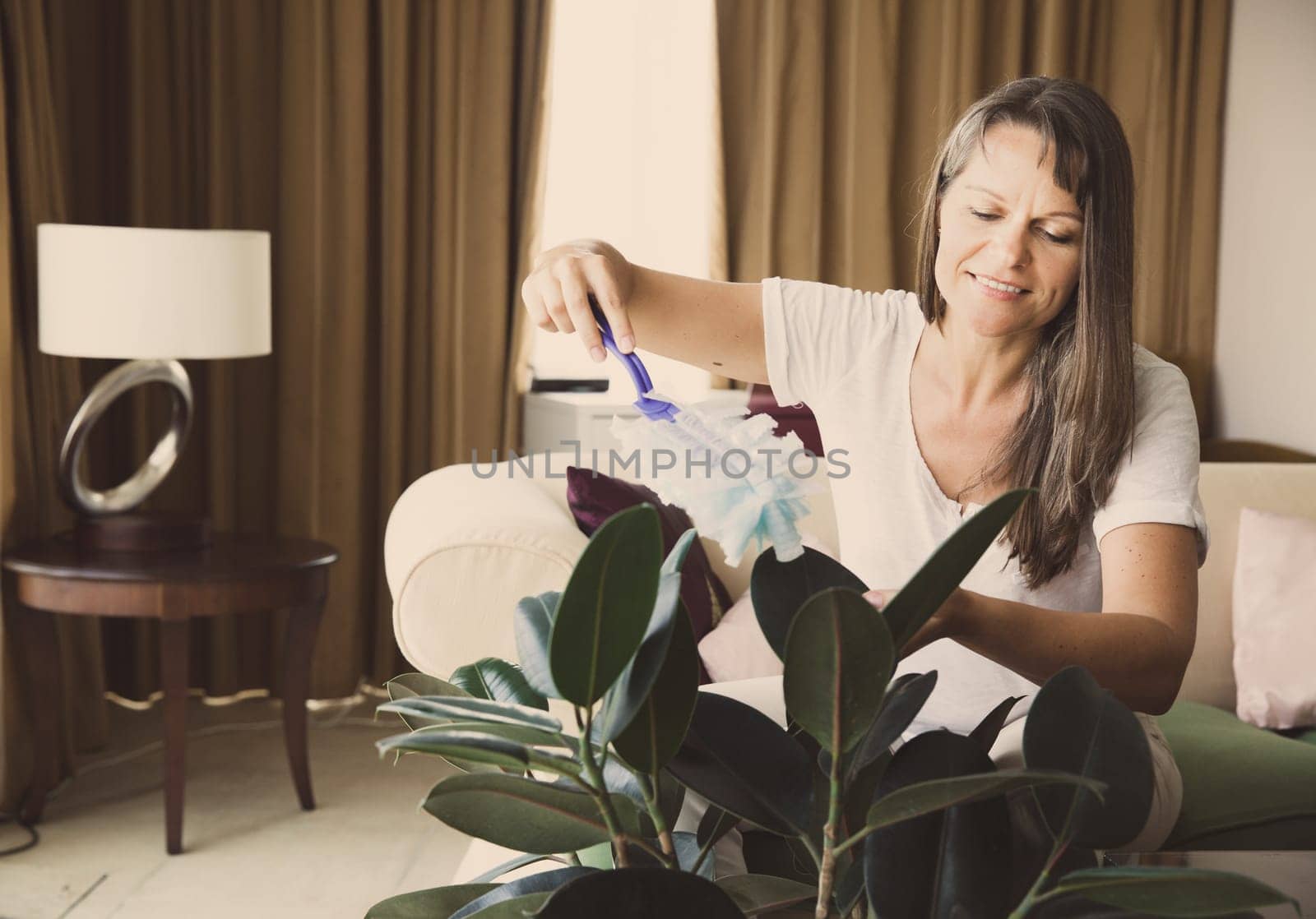 Mature woman is dusting rubber tree in her apartment