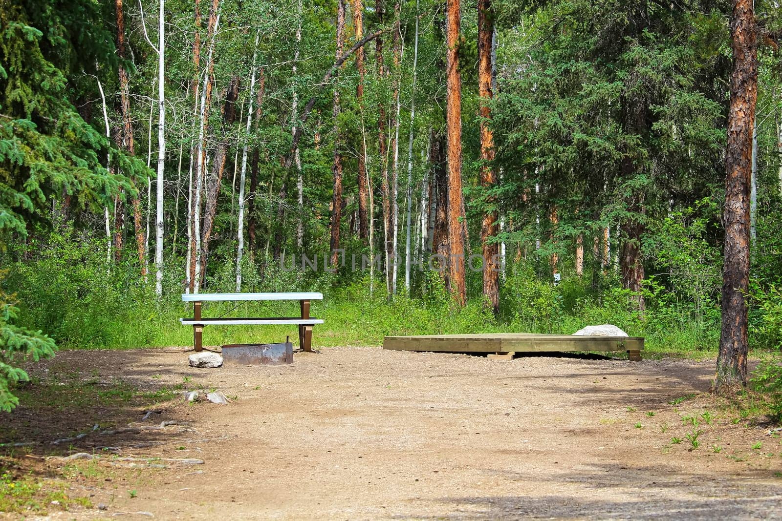 A campsite with a picnic table, fire ring and tent platform.