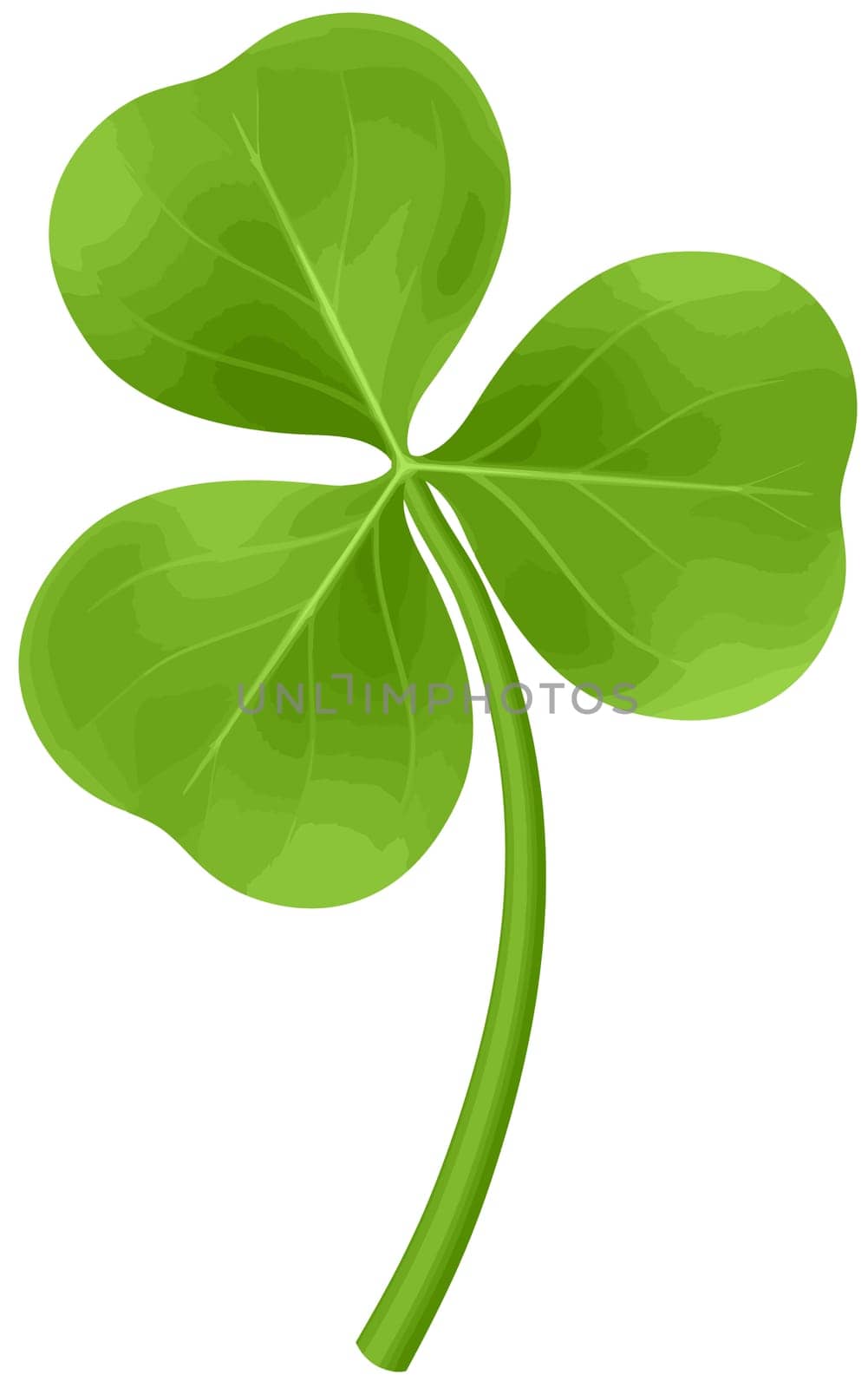 four leaf clover shamrock green st patricks day luck illustration