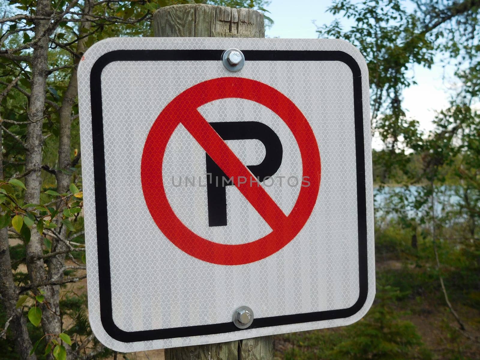 No Parking Sign Against a Forest Background.