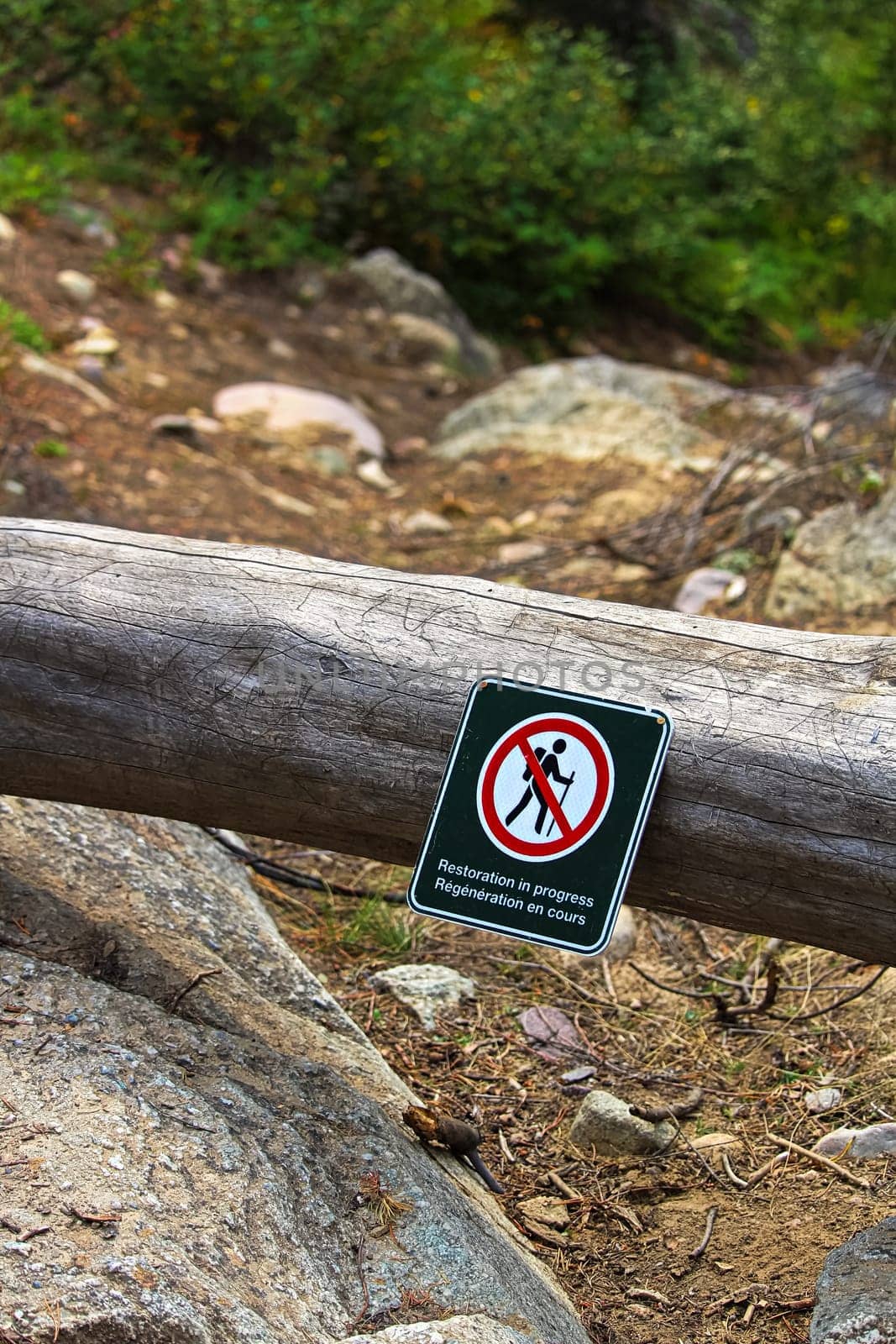 Restoration in progress signs on temporarily closed trails.