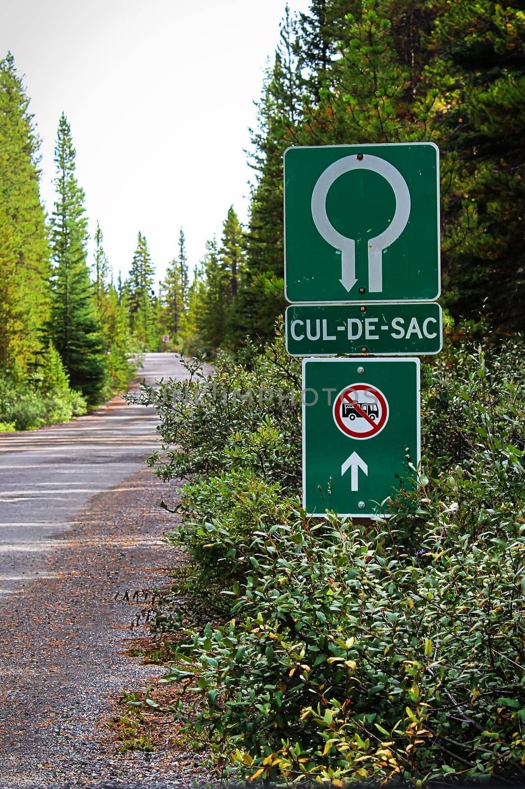 A Cul-De-Sac and No RV entry sign.