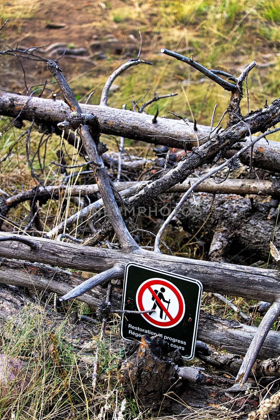 Restoration in progress signs on temporarily closed trails.
