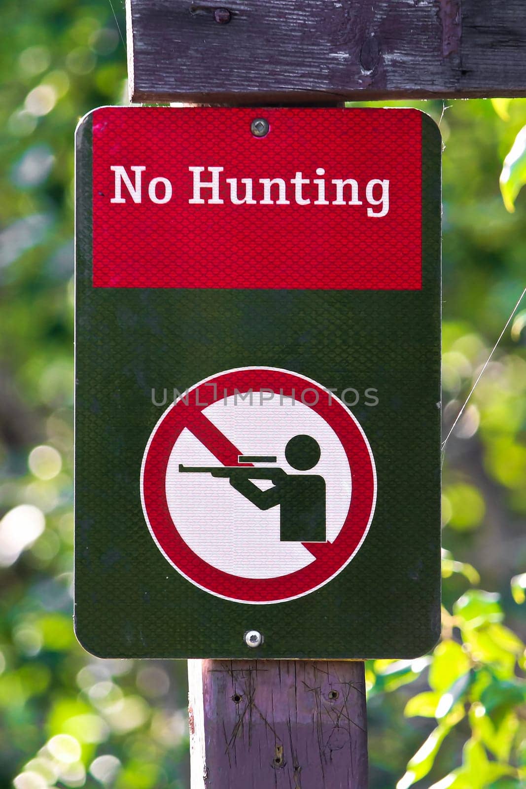 Closeup of a no hunting sign on a green background.