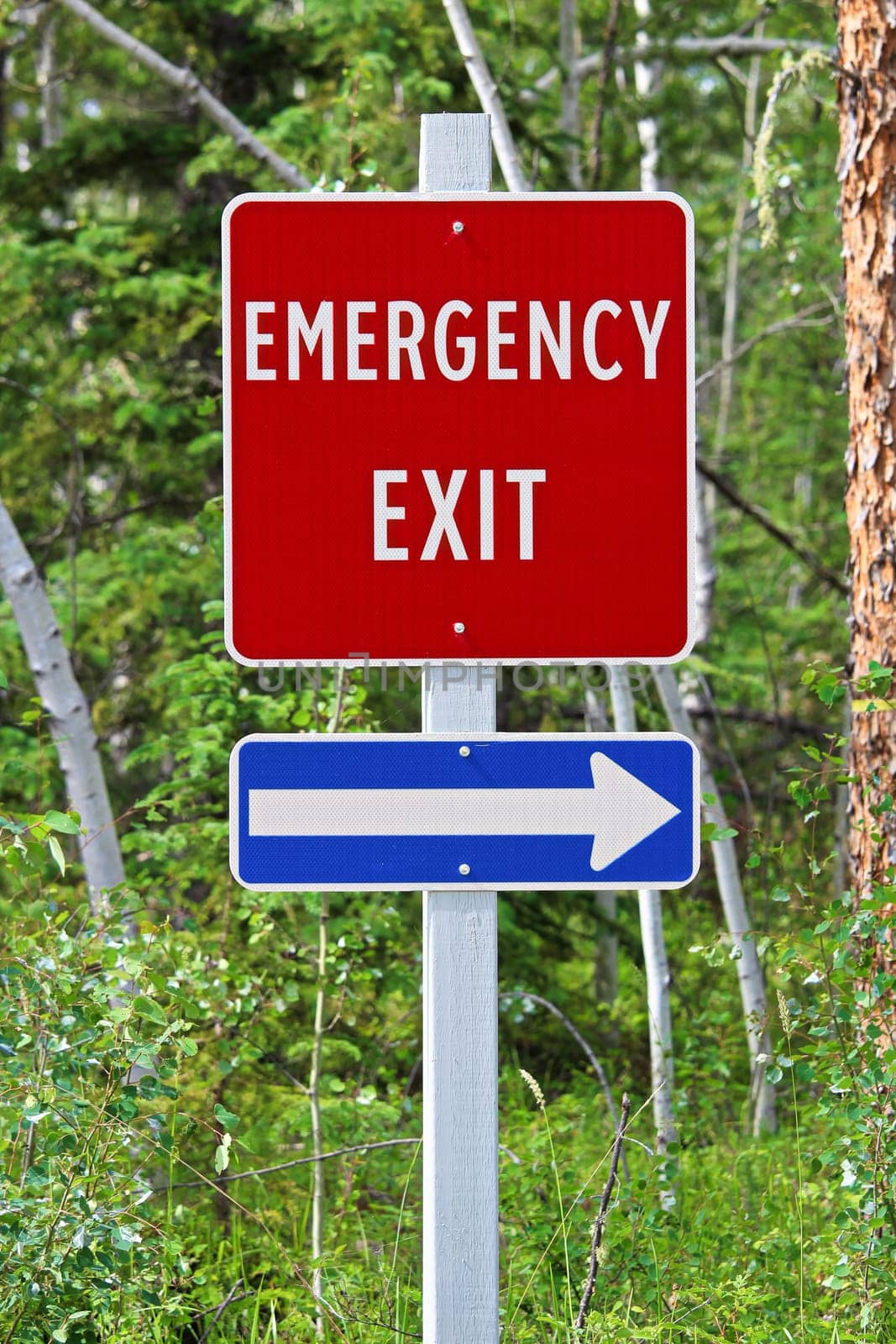 A emergency exit sign with an arrow indicating the direction.