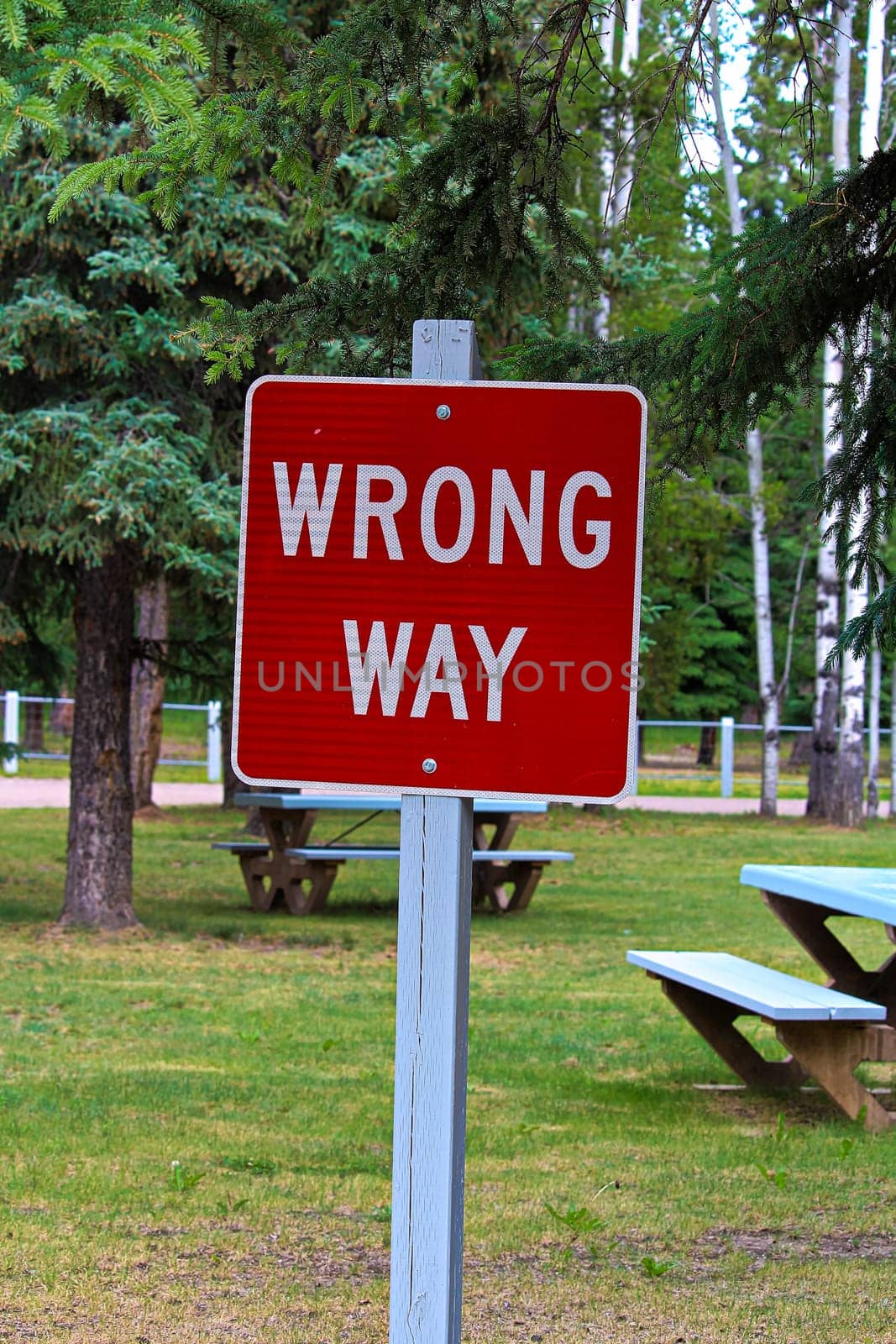 A red wrong way sign with picnic tables behind it.