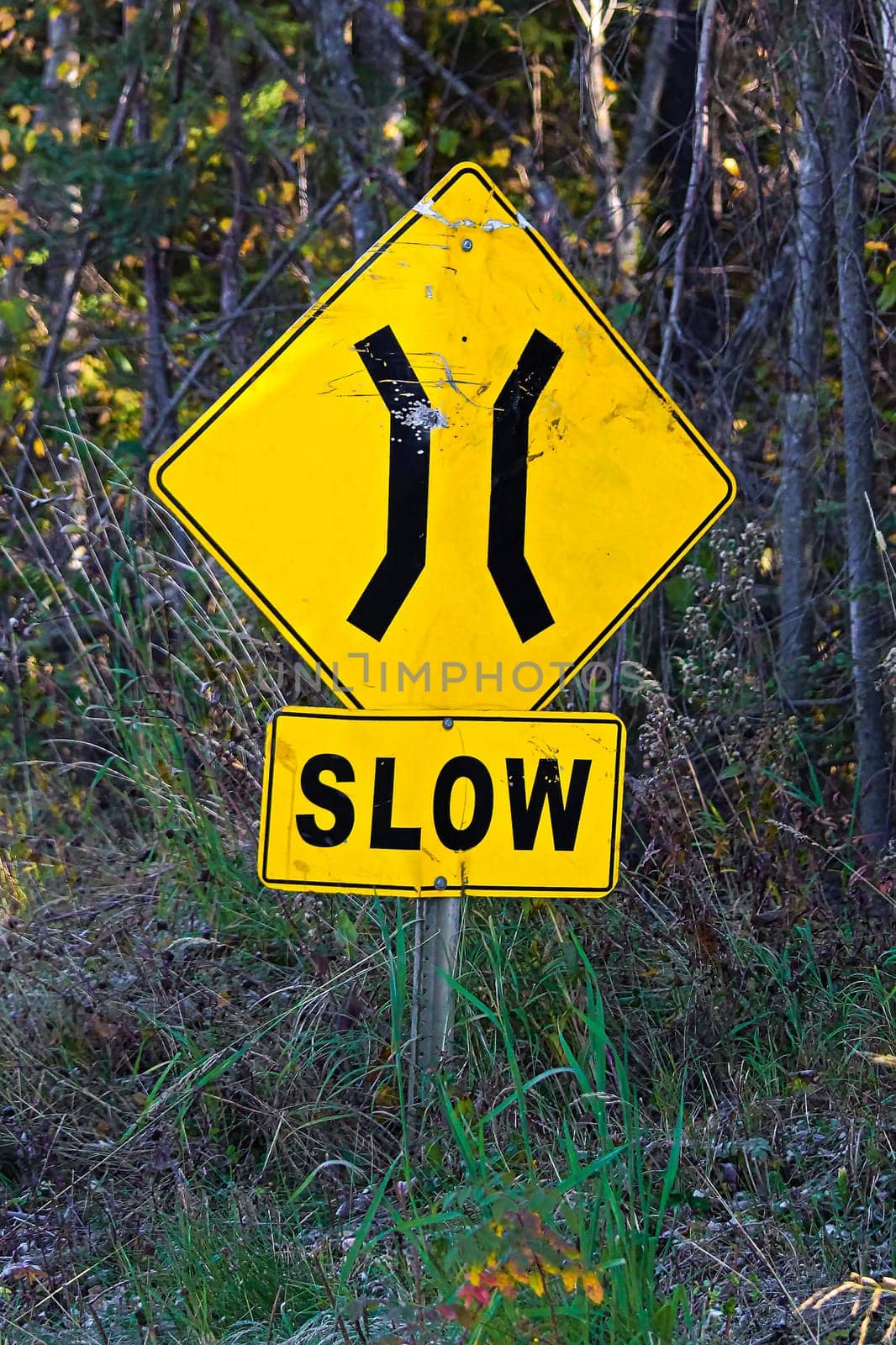A Slow Narrow Bridge sign with trees in the background.