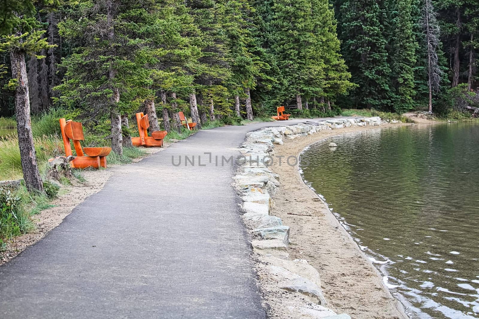 A path lined with wooden benches by a lake shore.