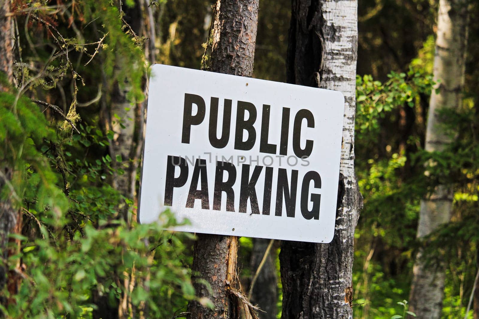 A public parking sign nailed to some trees.