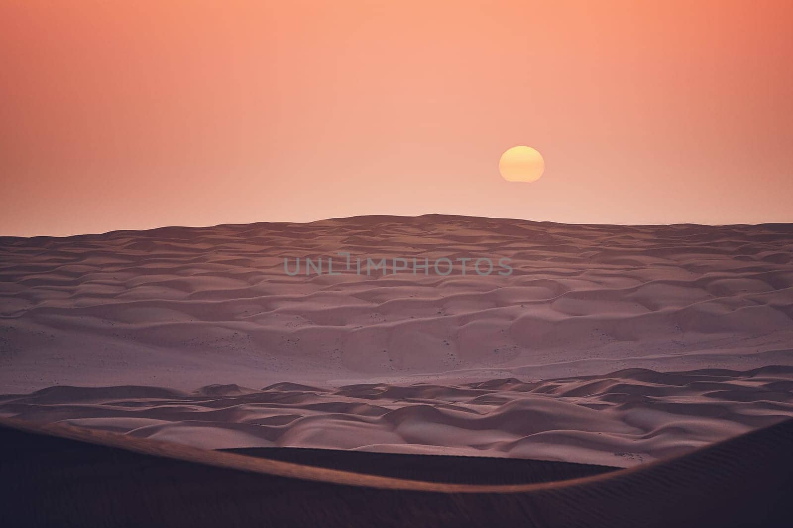 Sand dunes in desert landscape at sunrise. Wahiba Sands, Sultanate of Oman.