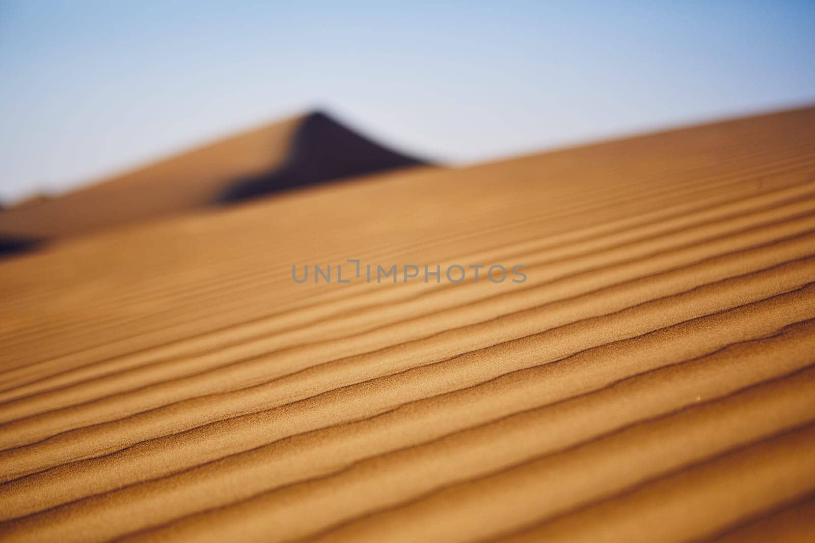 Close-up view of sand dunes in desert. Wahiba Sands, Sultanate of Oman.