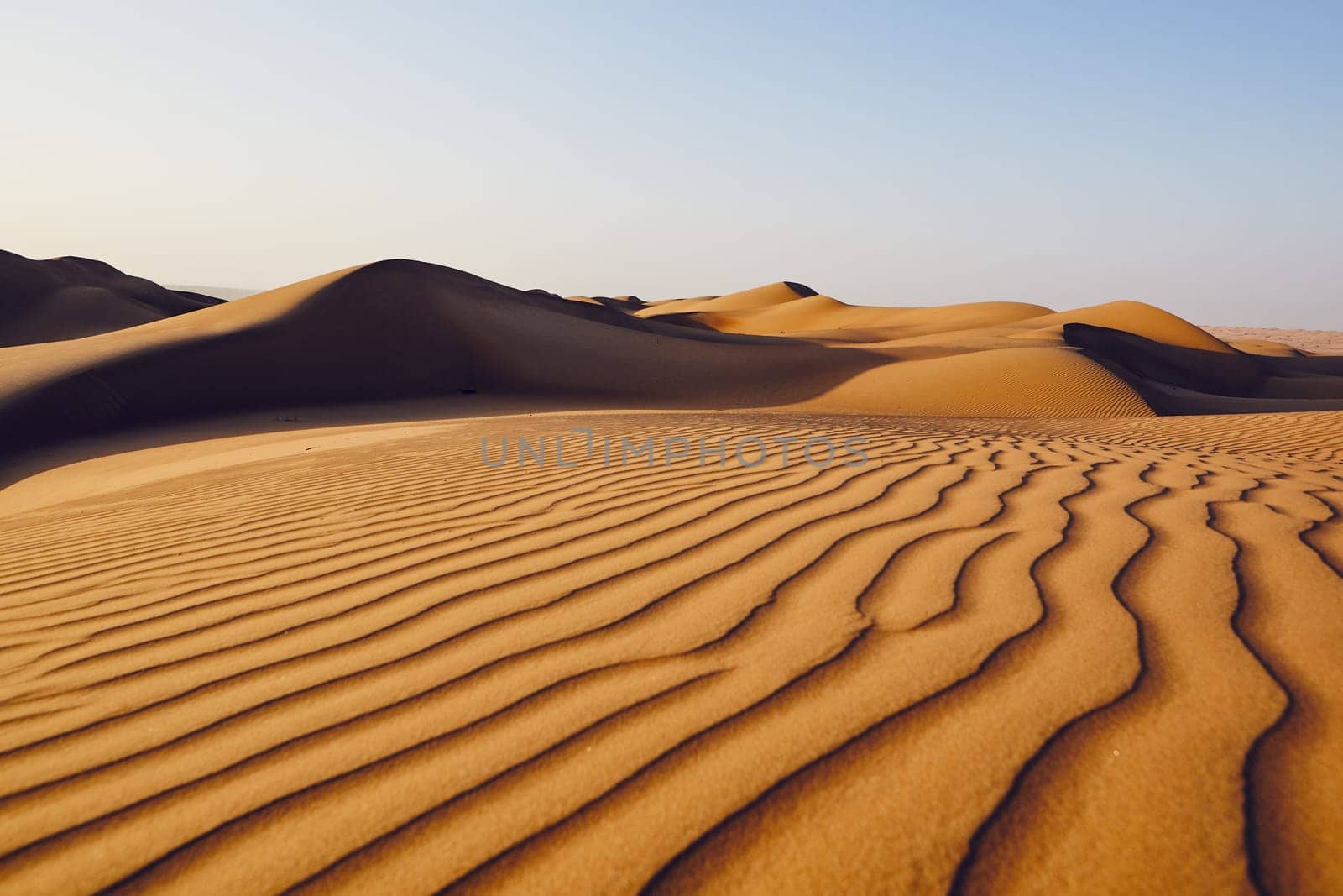 Sand dunes in desert landscape. Wahiba Sands, Sultanate of Oman.