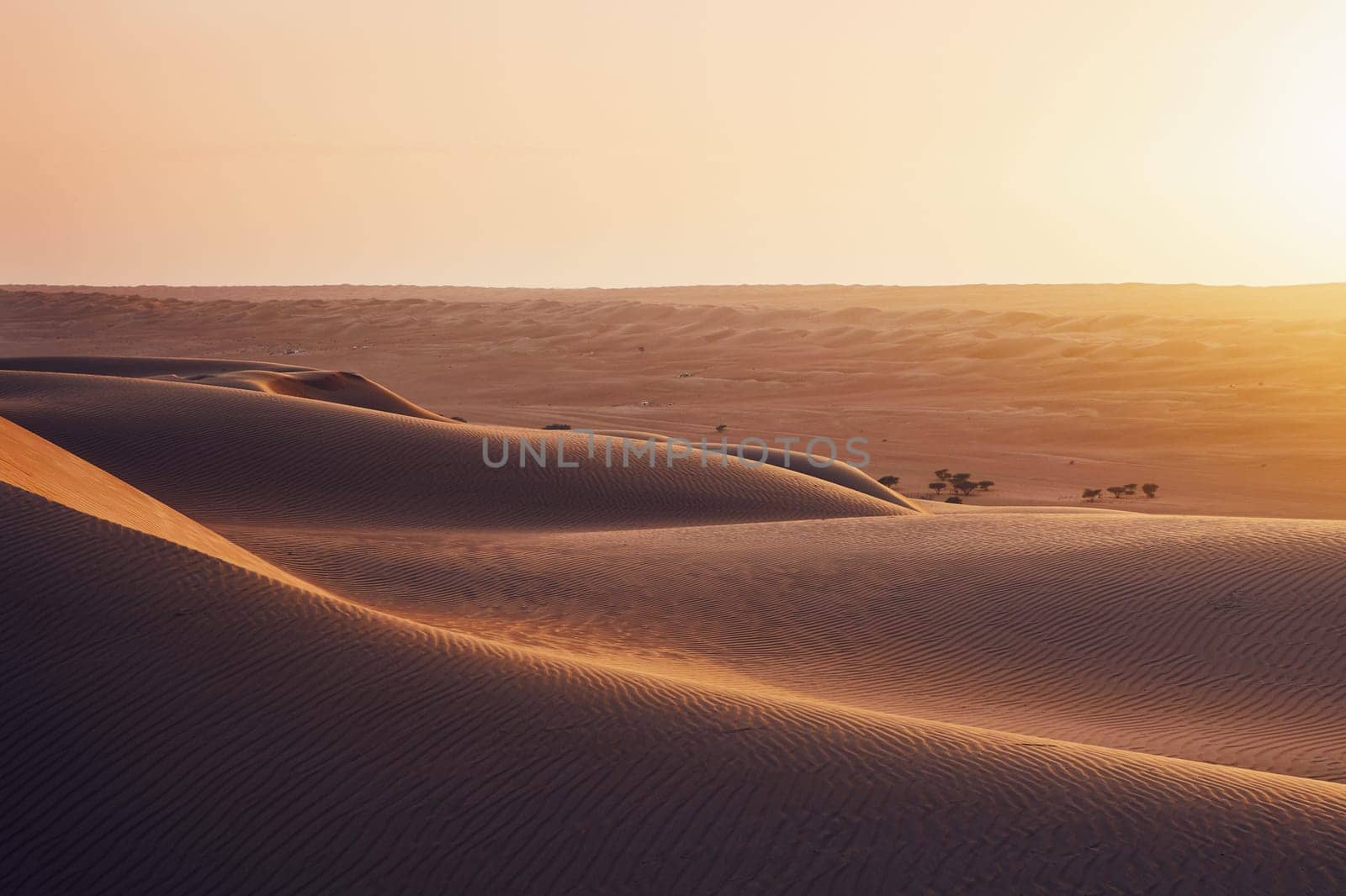 Sand dunes in desert landscape at sunset. Wahiba Sands, Sultanate of Oman.