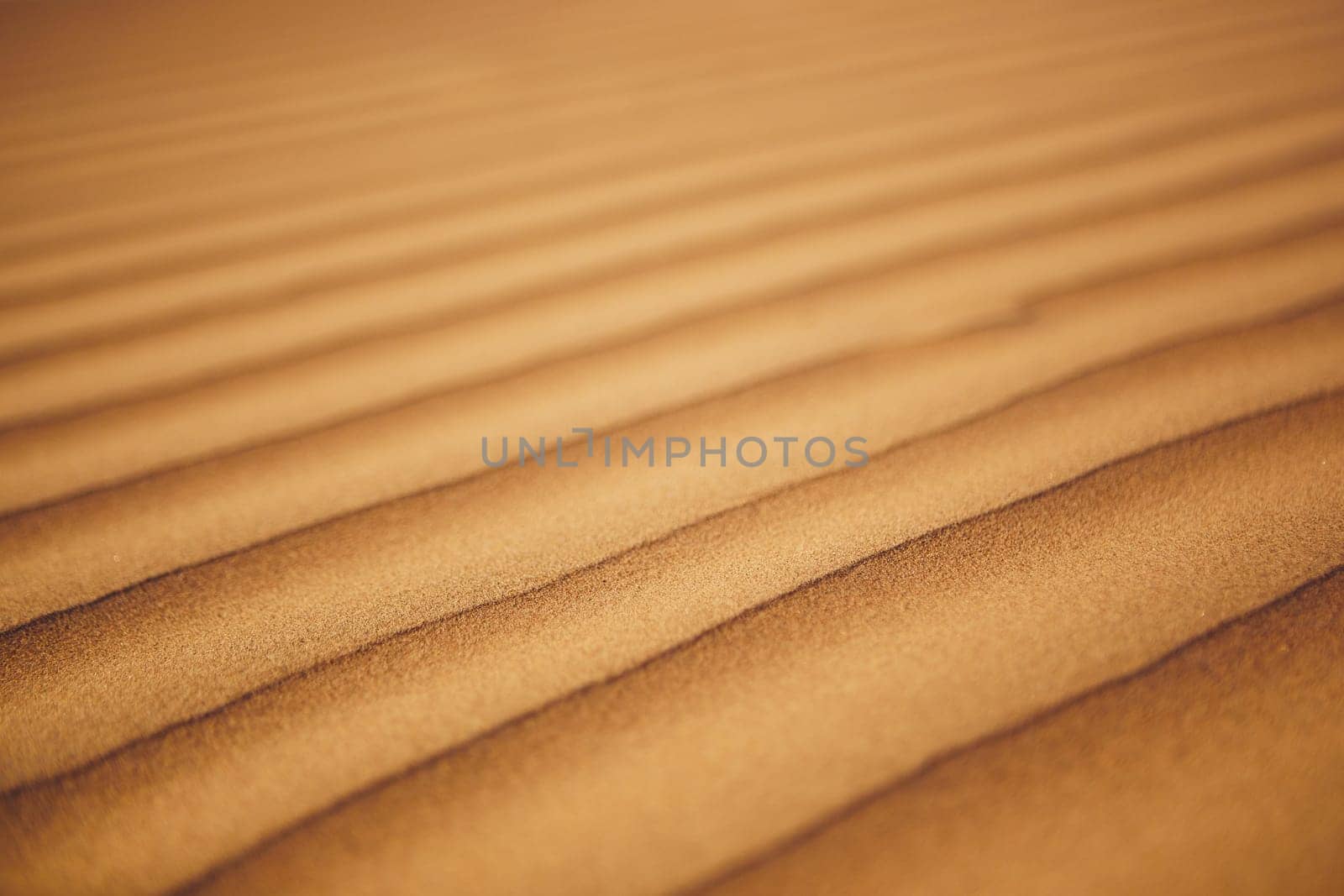 Close-up view of sand dunes in desert. Wahiba Sands, Sultanate of Oman.