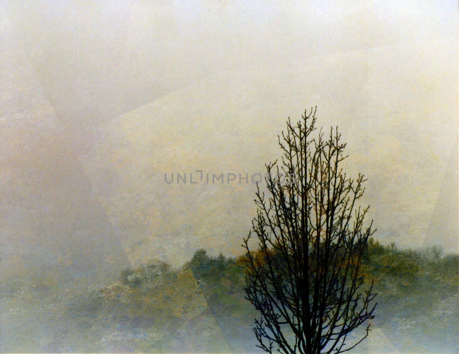 Impressionism painted composition. Lonely tree