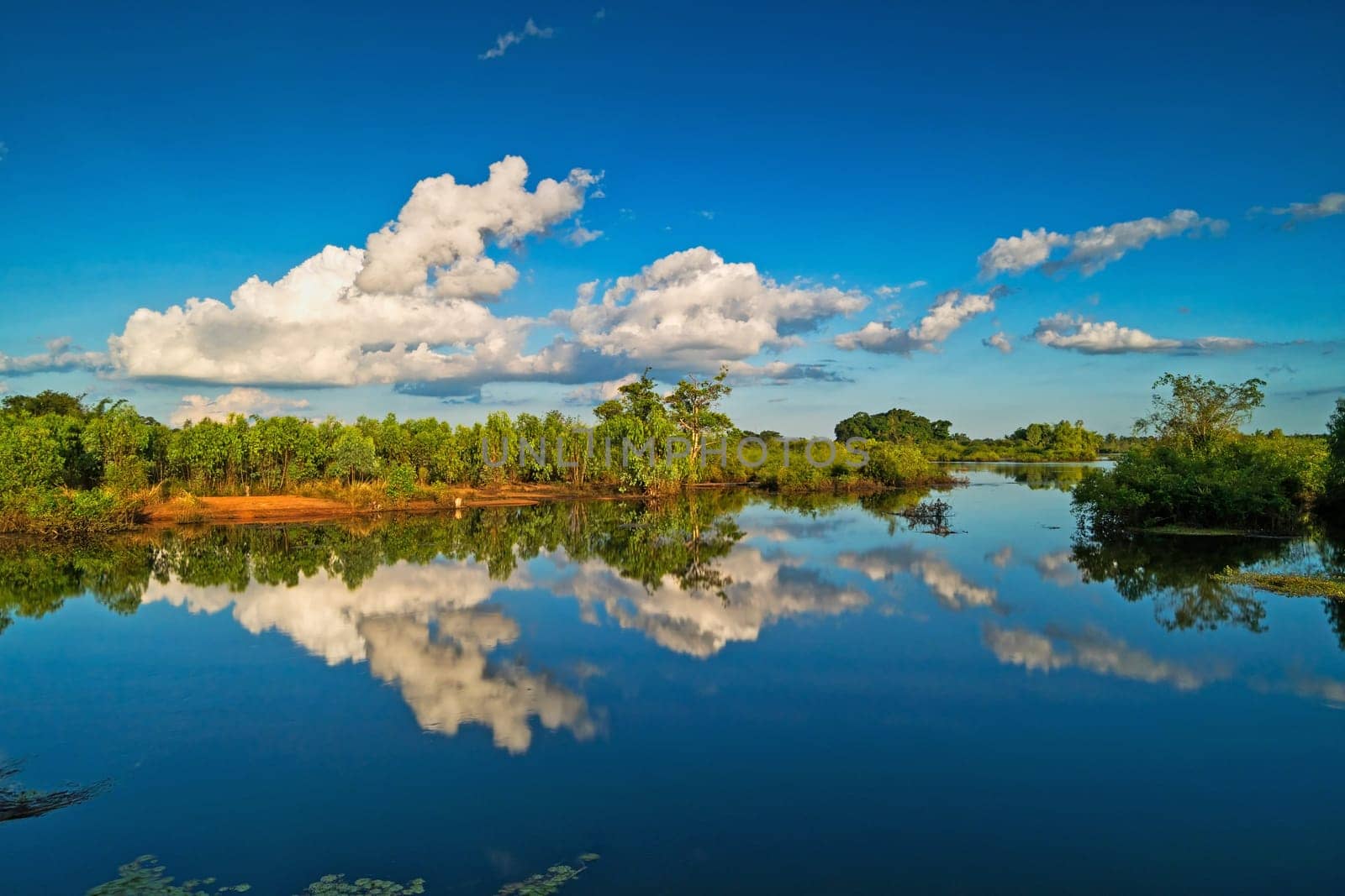 landscape with water surface