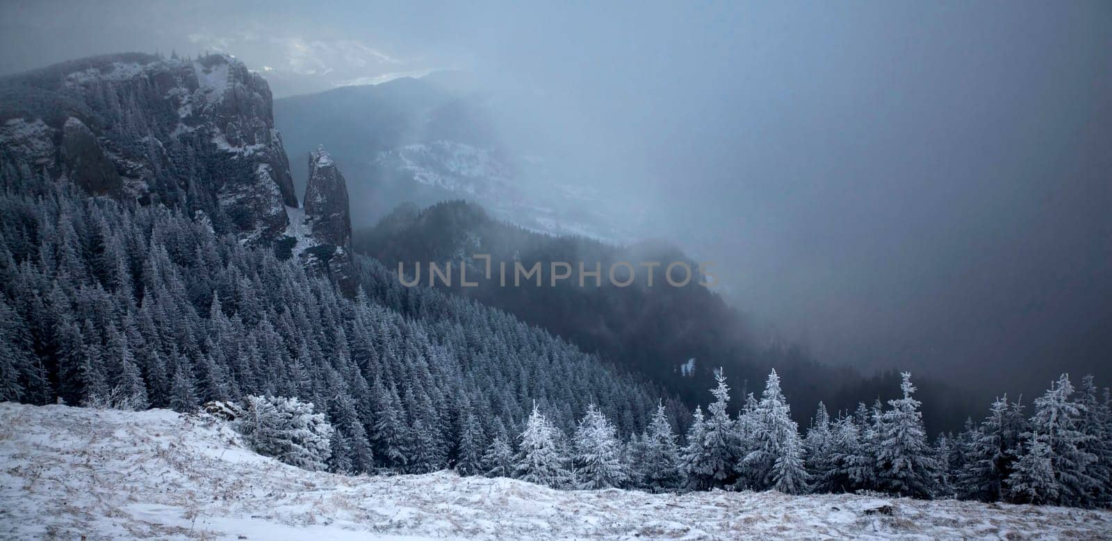 Christmas and New Year background with winter trees in mountains covered with fresh snow - Magic holiday background
