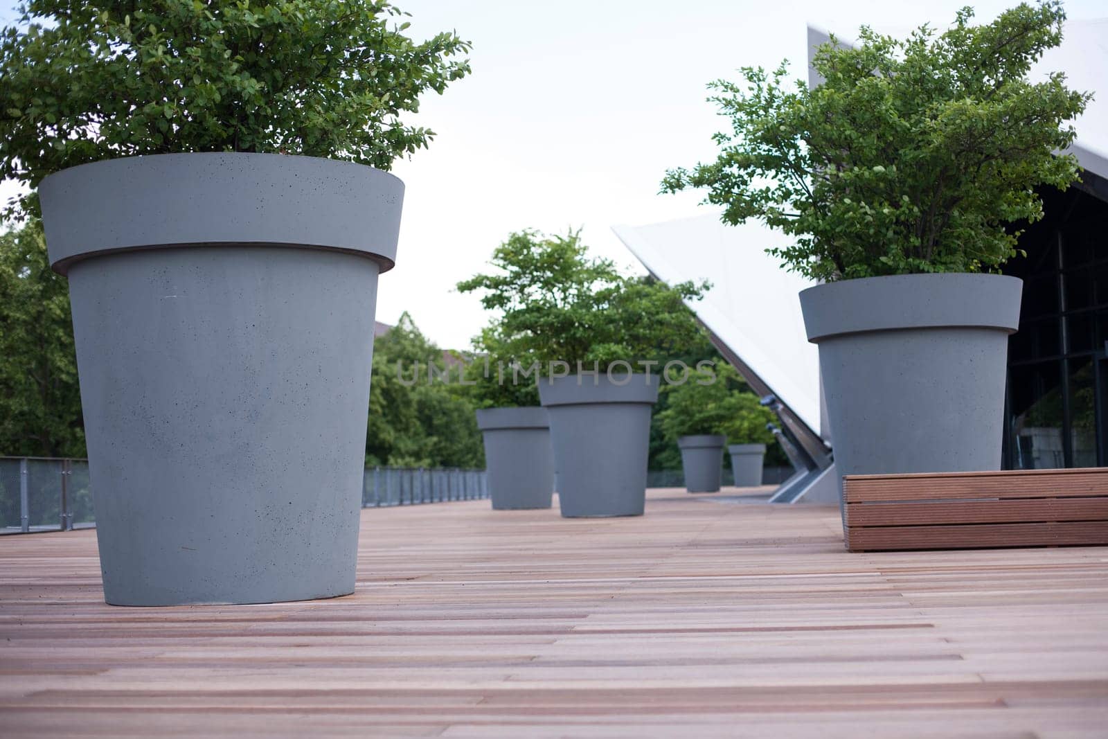 Gray giant flower pot with green plant in park. Big bush trees set in pots on city square
