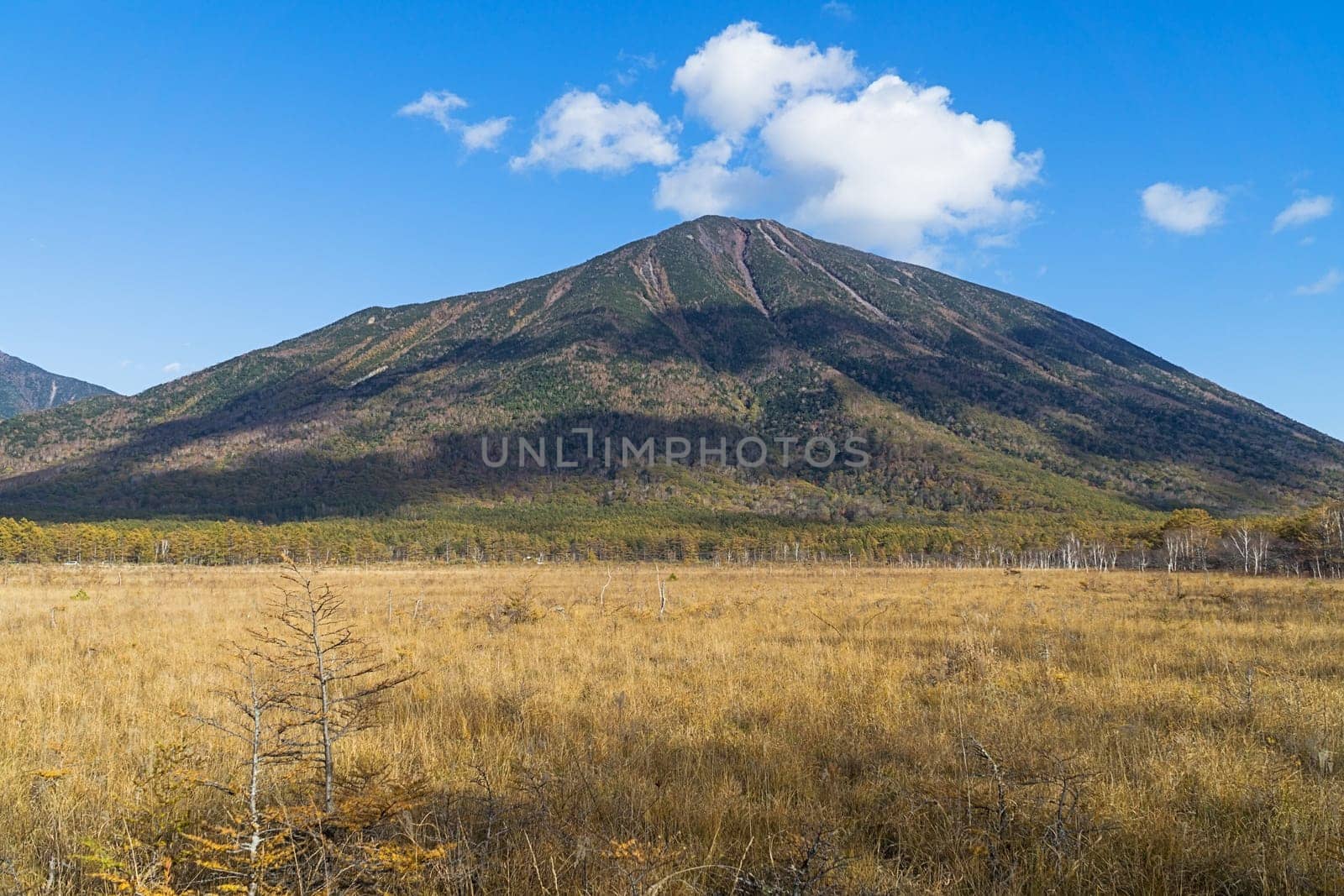 Senjogahara covers the plateau between Chuzenjiko and Yumoto Onsen. It is particularly beautiful during the autumn leaf season in October when the marshland's grasses turn into a reddish yellow and the larch trees into a shiny gold.