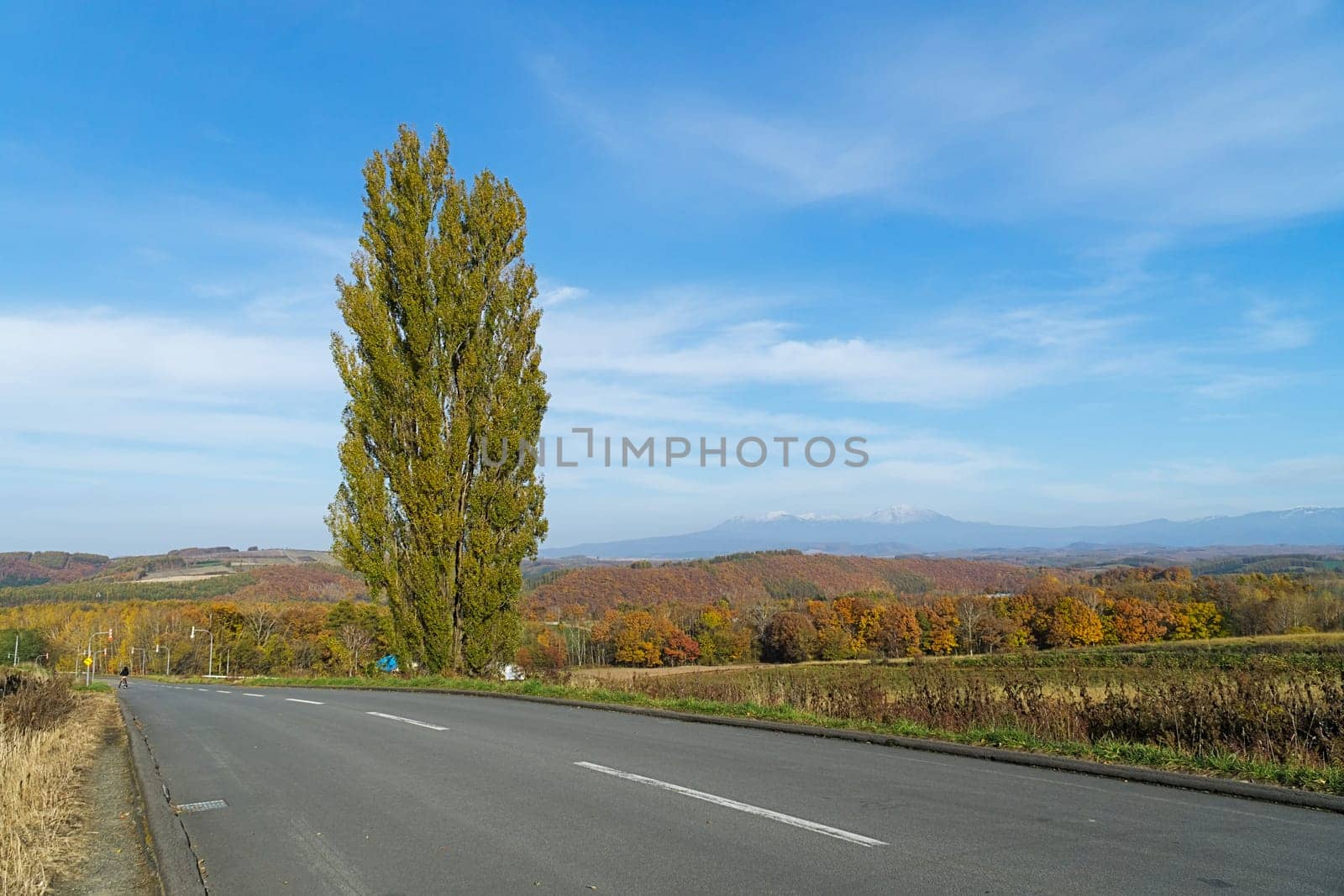 Biei is a small town surrounded by a picturesque landscape of gently rolling hills and vast fields. A pleasant way to enjoy the charm of Biei is by cycling or driving through the hills and visiting some of the flower fields and famous trees along the way.