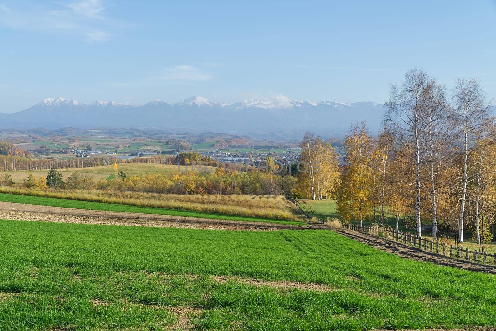 Biei is a small town surrounded by a picturesque landscape of gently rolling hills and vast fields. A pleasant way to enjoy the charm of Biei is by cycling or driving through the hills and visiting some of the flower fields and famous trees along the way.