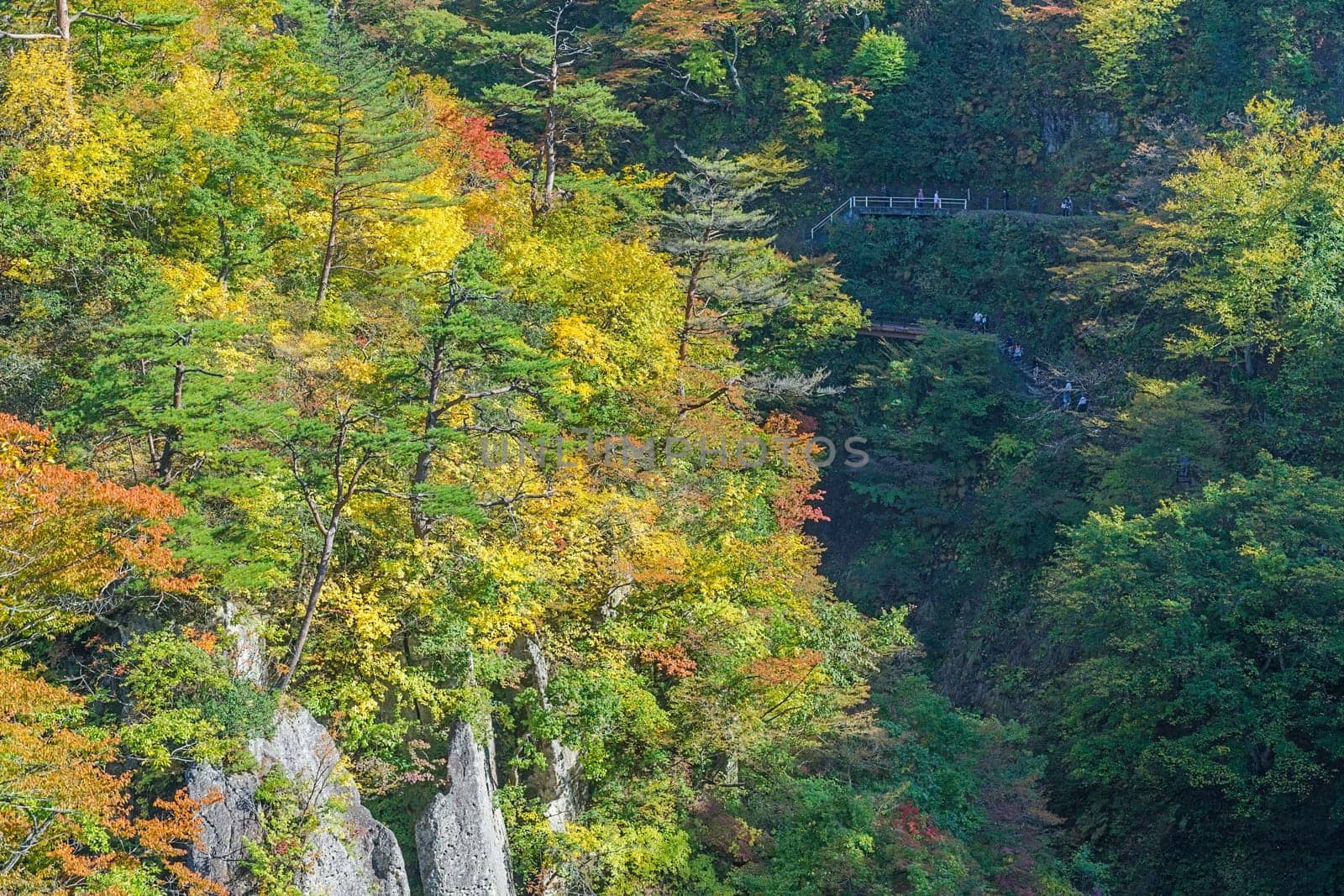 Naruko Gorge is one of the Tohoku Region's most scenic gorges. It is located in north-western Miyagi Prefecture, about 70 kilometers from Sendai. Every year around late October to early November, the gorge transforms into one of the region's most popular autumn color.