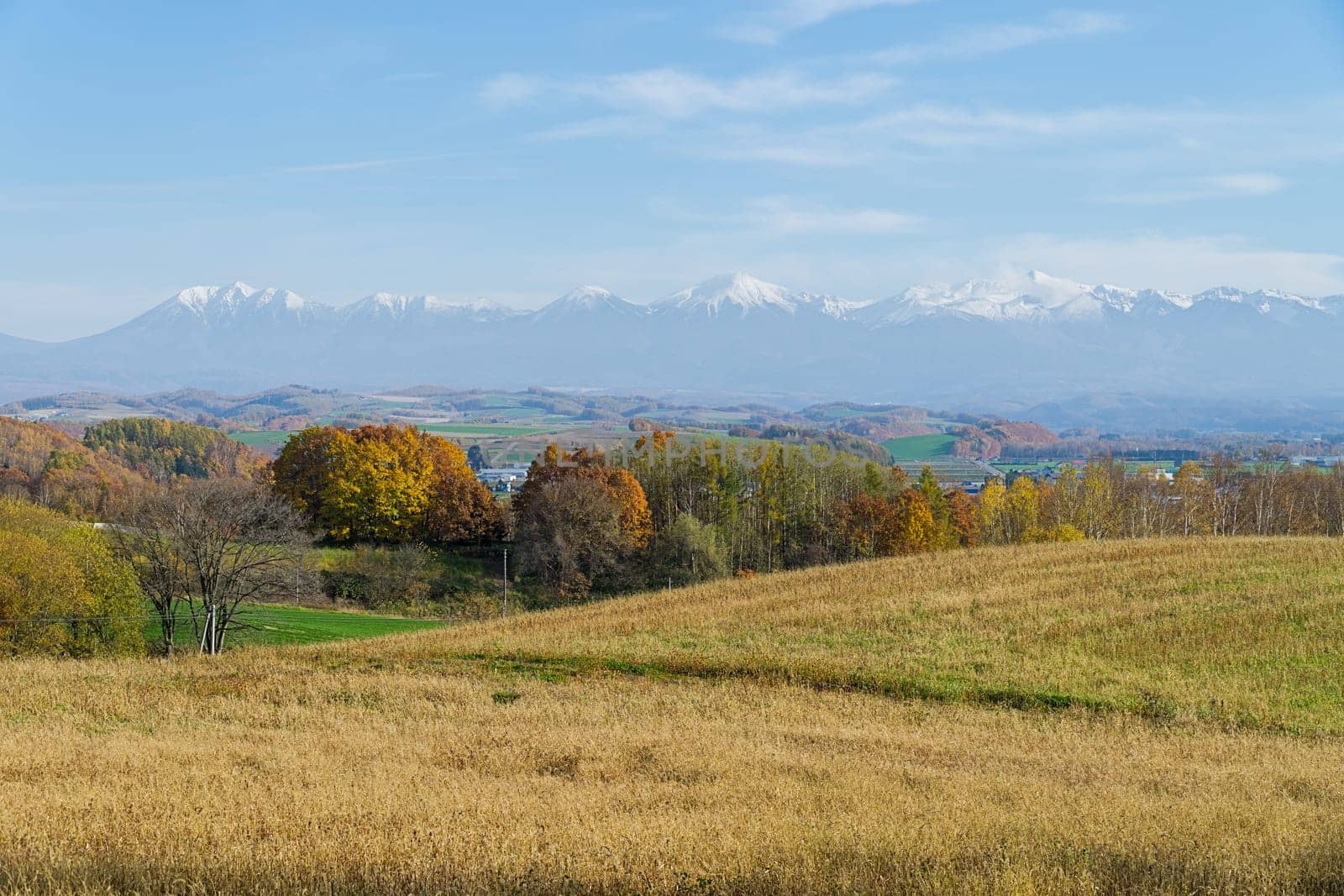 Biei is a small town surrounded by a picturesque landscape of gently rolling hills and vast fields. A pleasant way to enjoy the charm of Biei is by cycling or driving through the hills and visiting some of the flower fields and famous trees along the way.