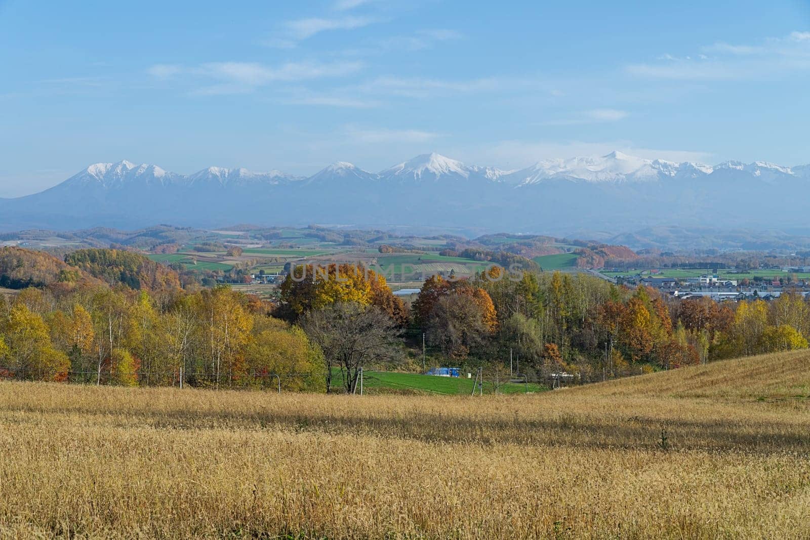 Biei is a small town surrounded by a picturesque landscape of gently rolling hills and vast fields. A pleasant way to enjoy the charm of Biei is by cycling or driving through the hills and visiting some of the flower fields and famous trees along the way.
