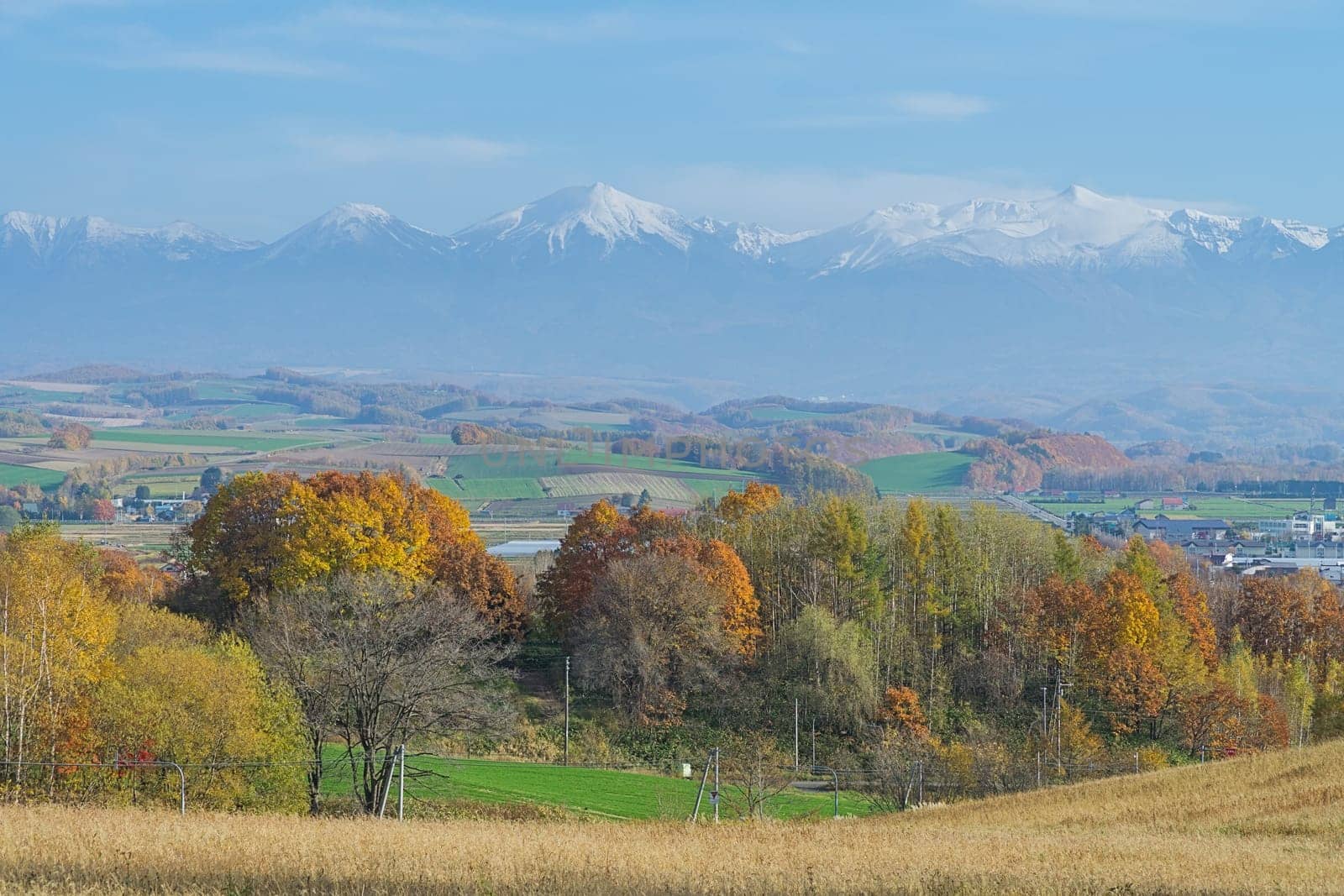 Biei is a small town surrounded by a picturesque landscape of gently rolling hills and vast fields. A pleasant way to enjoy the charm of Biei is by cycling or driving through the hills and visiting some of the flower fields and famous trees along the way.