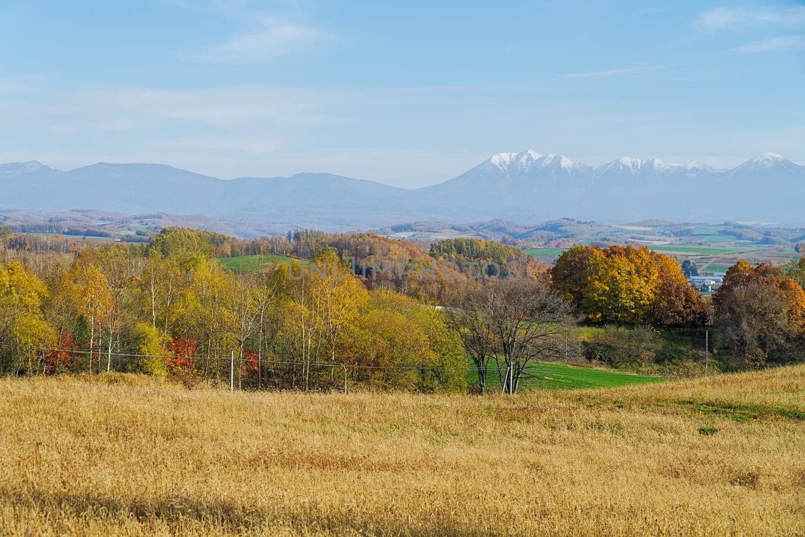 Biei is a small town surrounded by a picturesque landscape of gently rolling hills and vast fields. A pleasant way to enjoy the charm of Biei is by cycling or driving through the hills and visiting some of the flower fields and famous trees along the way.
