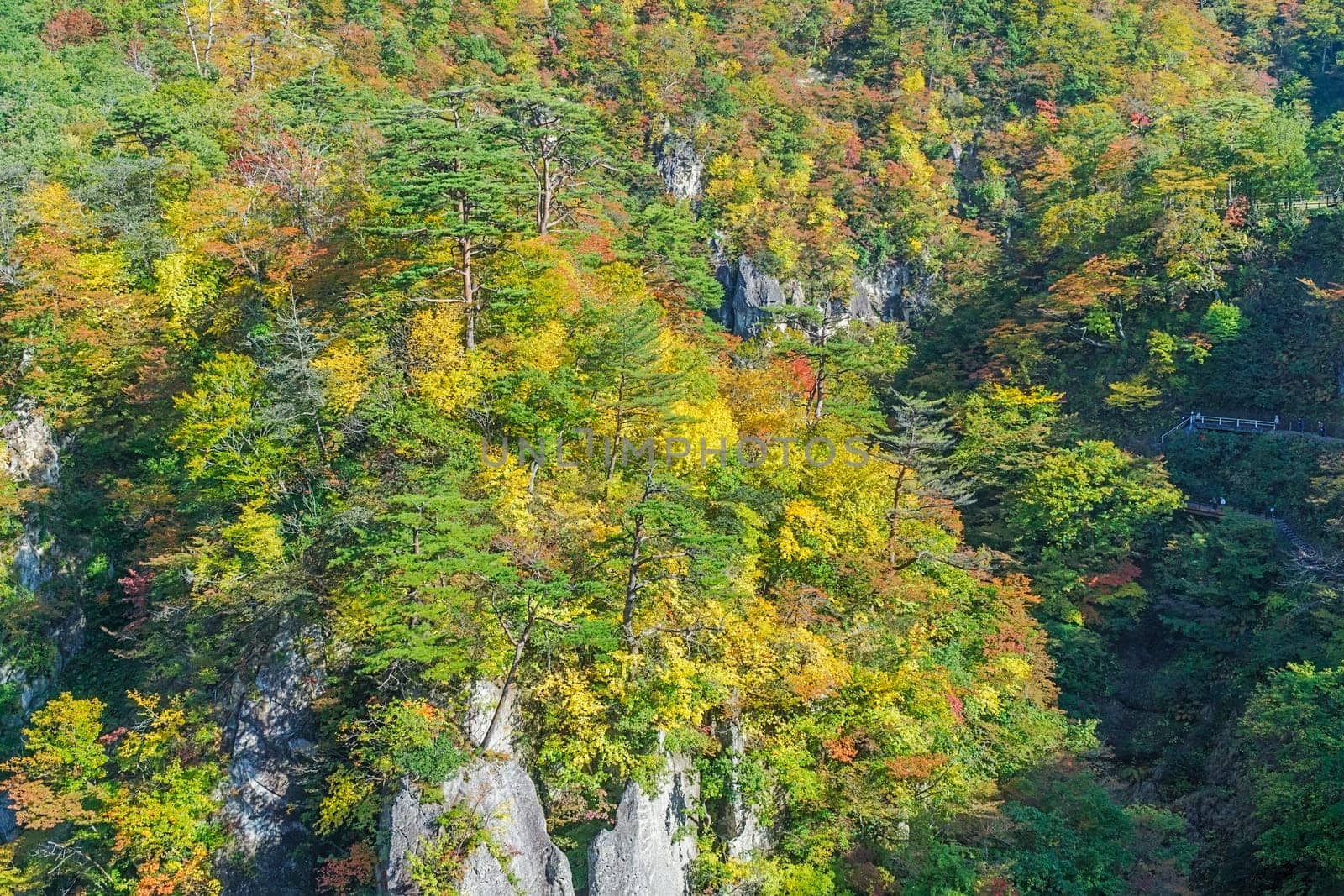 Naruko Gorge is one of the Tohoku Region's most scenic gorges. It is located in north-western Miyagi Prefecture, about 70 kilometers from Sendai. Every year around late October to early November, the gorge transforms into one of the region's most popular autumn color.