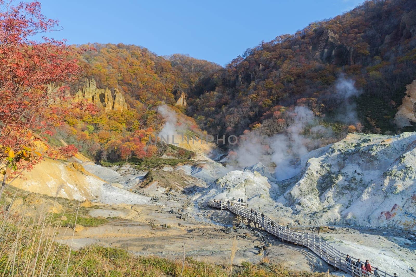 Noboribetsu Onsen is Hokkaido's most famous hot spring resort. A large amount of Noboribetsu's many types of hot spring water surfaces in the spectacular Jigokudani or "Hell Valley"" just above the resort town. Noboribetsu is part of Shikotsu-Toya National Park."