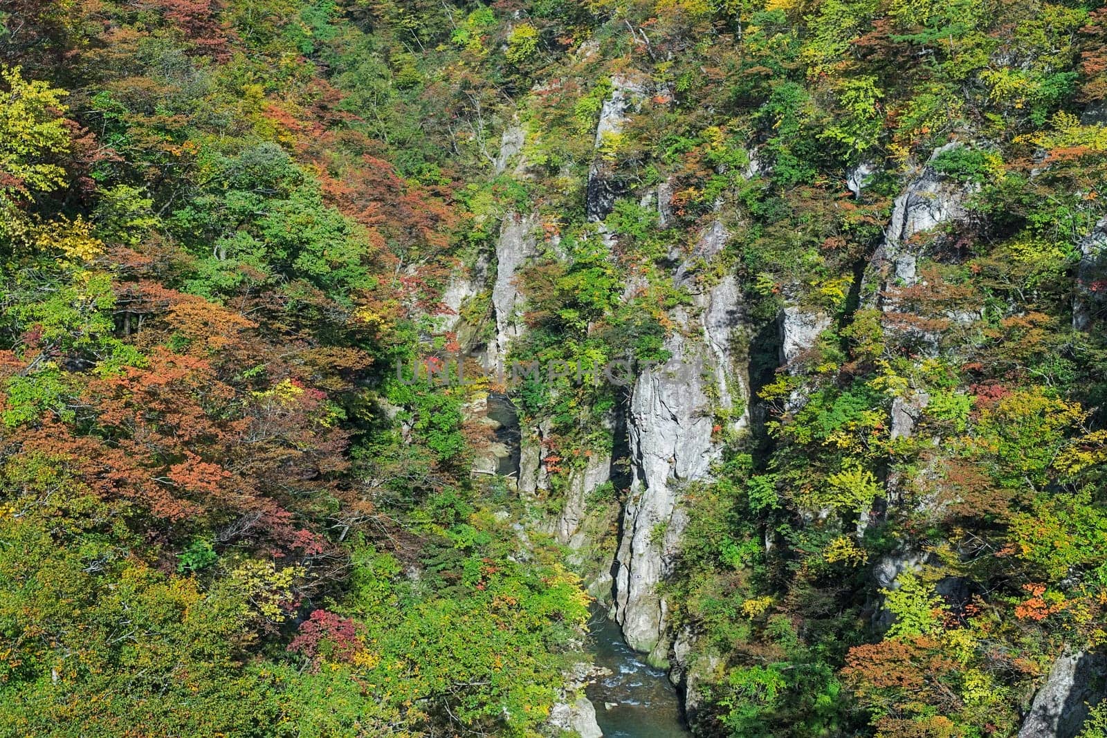Naruko Gorge is one of the Tohoku Region's most scenic gorges. It is located in north-western Miyagi Prefecture, about 70 kilometers from Sendai. Every year around late October to early November, the gorge transforms into one of the region's most popular autumn color.
