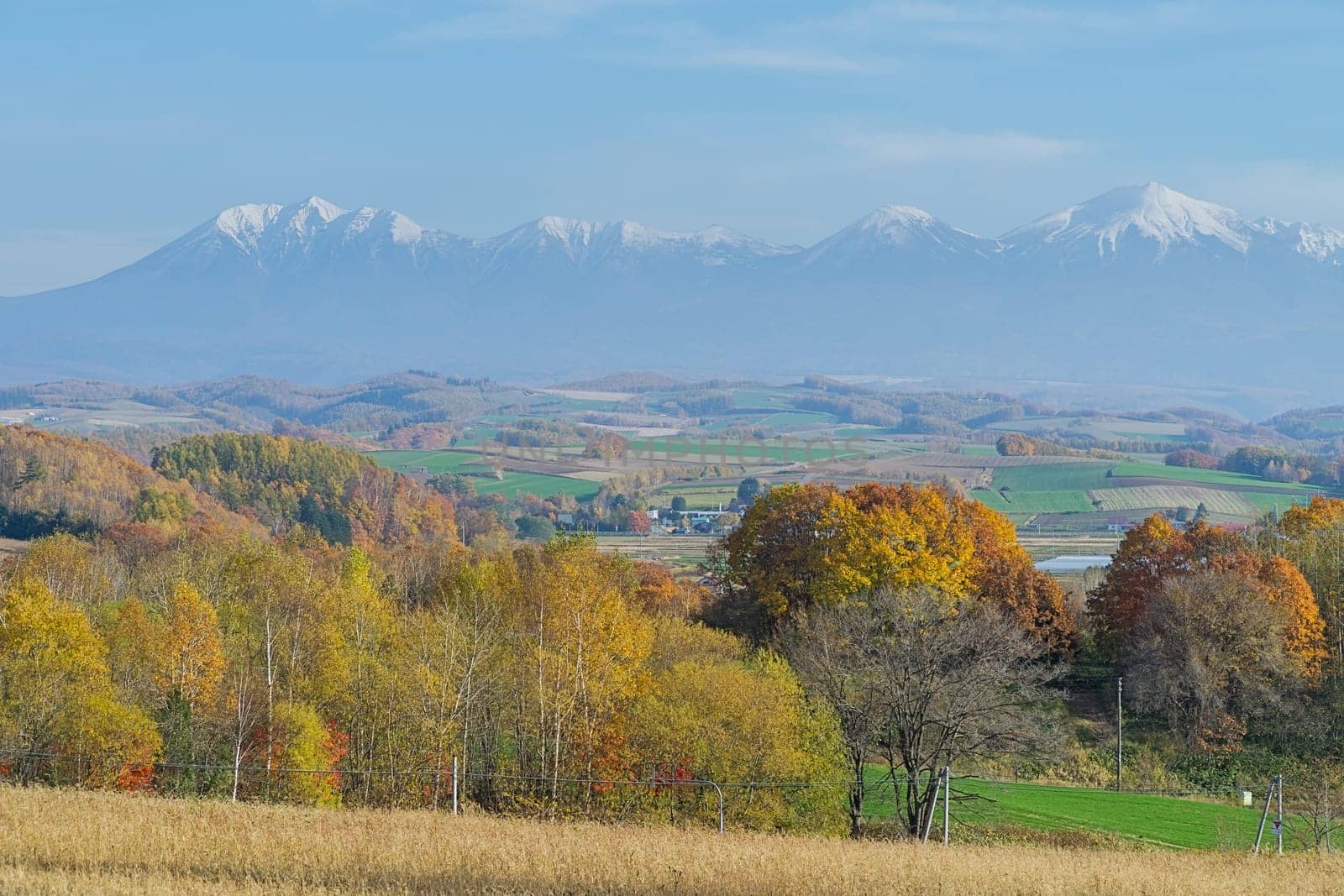 Biei is a small town surrounded by a picturesque landscape of gently rolling hills and vast fields. A pleasant way to enjoy the charm of Biei is by cycling or driving through the hills and visiting some of the flower fields and famous trees along the way.