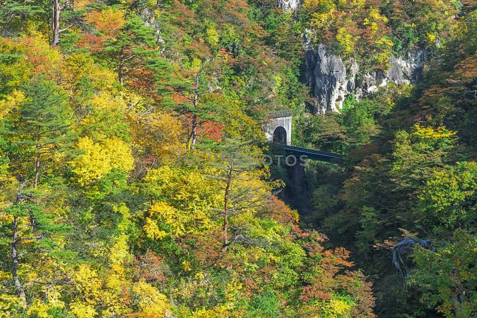Naruko Gorge is one of the Tohoku Region's most scenic gorges. It is located in north-western Miyagi Prefecture, about 70 kilometers from Sendai. Every year around late October to early November, the gorge transforms into one of the region's most popular autumn color.