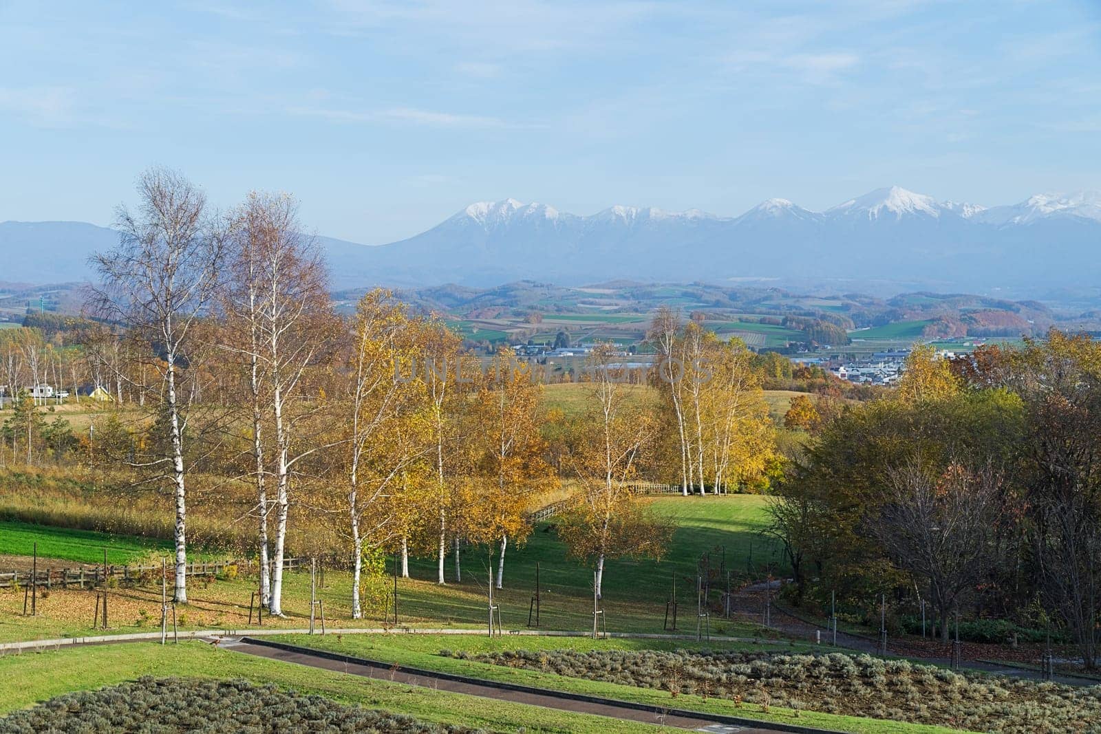 Biei is a small town surrounded by a picturesque landscape of gently rolling hills and vast fields. A pleasant way to enjoy the charm of Biei is by cycling or driving through the hills and visiting some of the flower fields and famous trees along the way.
