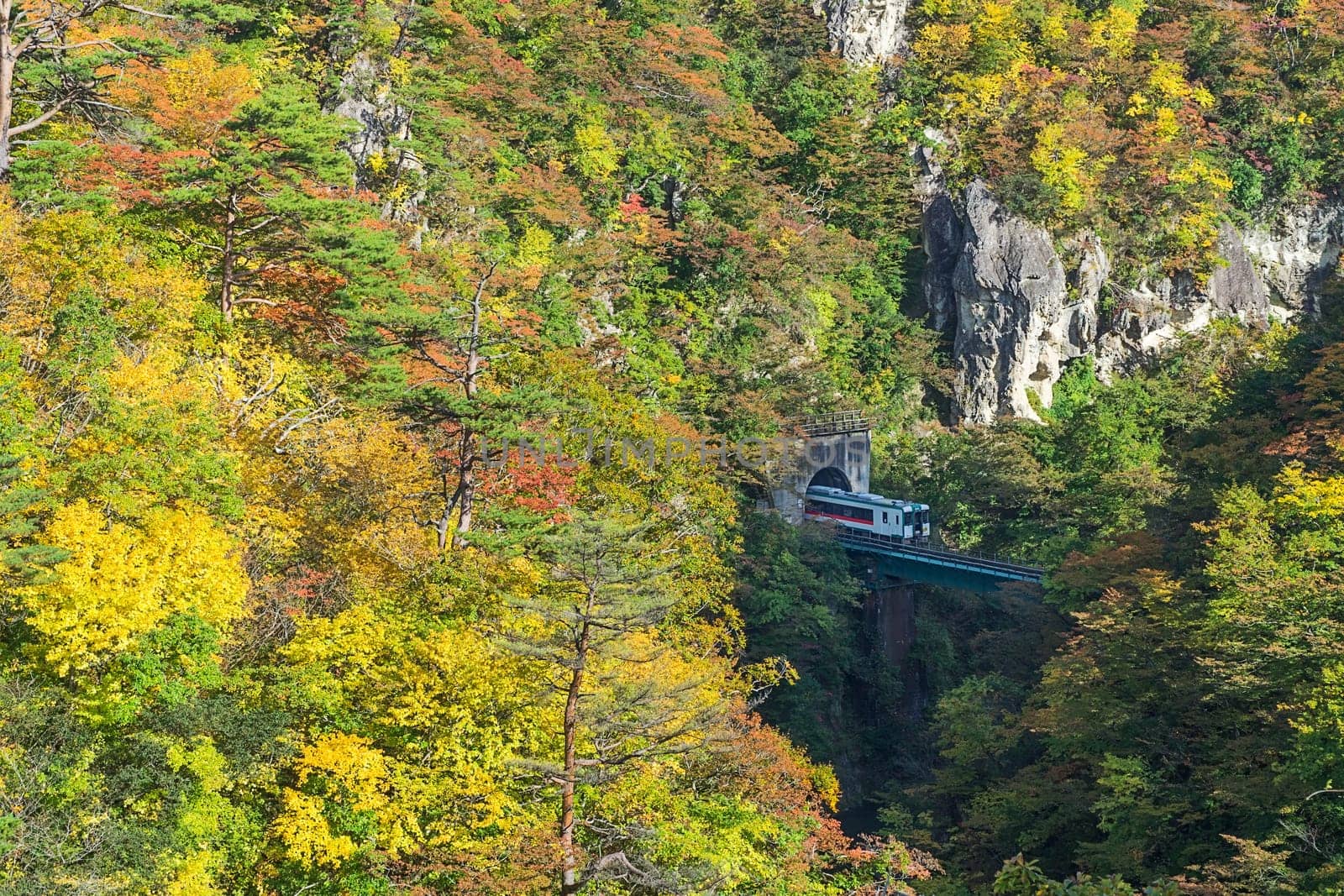 Naruko Gorge is one of the Tohoku Region's most scenic gorges. It is located in north-western Miyagi Prefecture, about 70 kilometers from Sendai. Every year around late October to early November, the gorge transforms into one of the region's most popular autumn color.